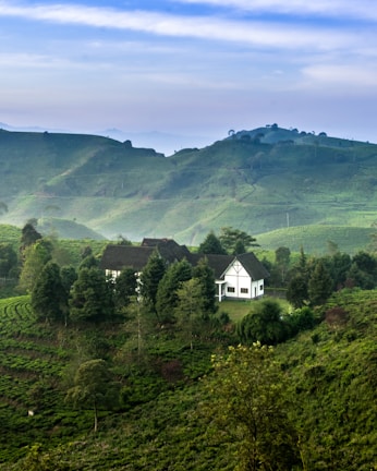 A scenic view of the ancestral home.