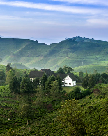 A scenic view of a homestay nestled among green hills, perfect for a peaceful getaway.