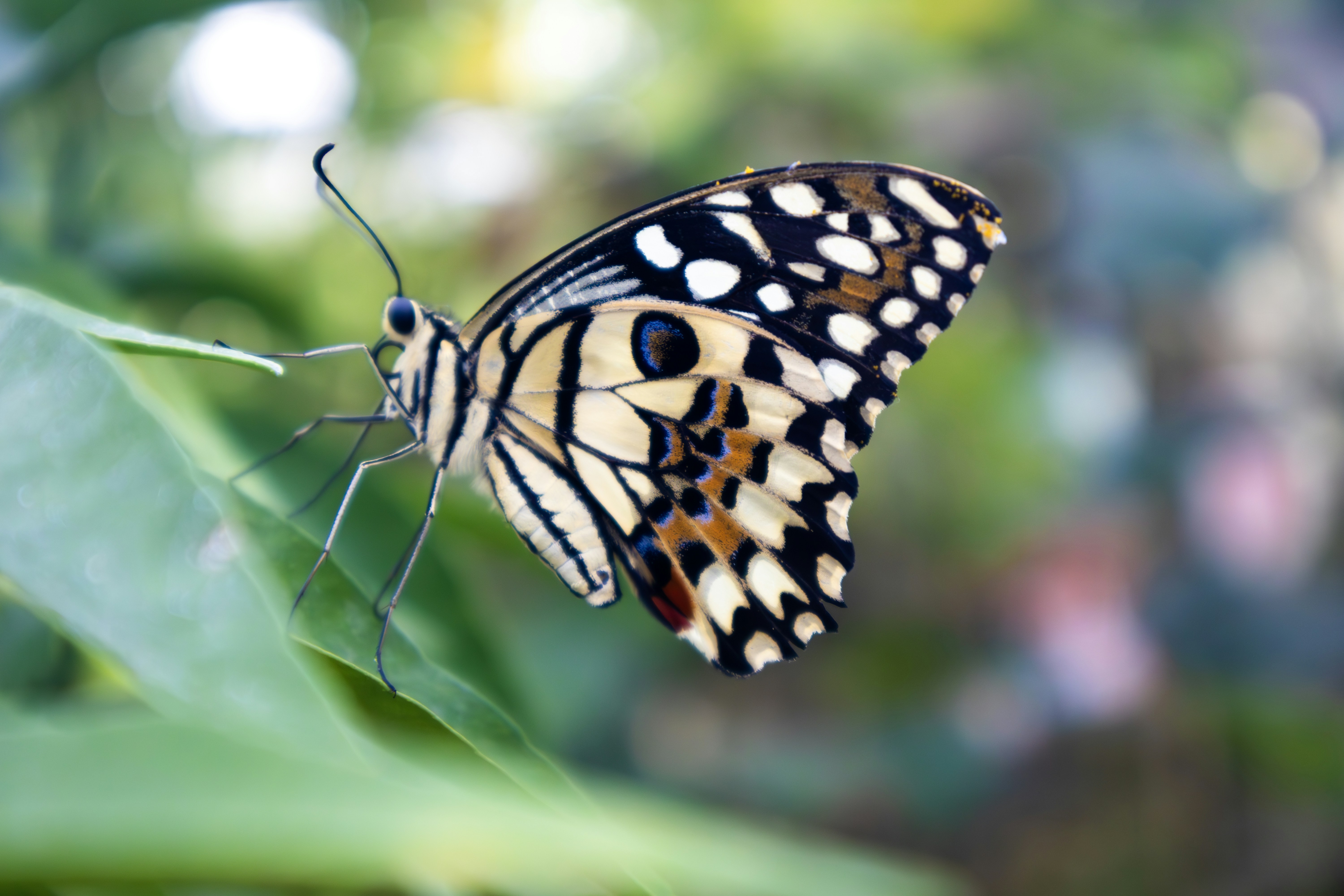 Photo by rolandtreiber