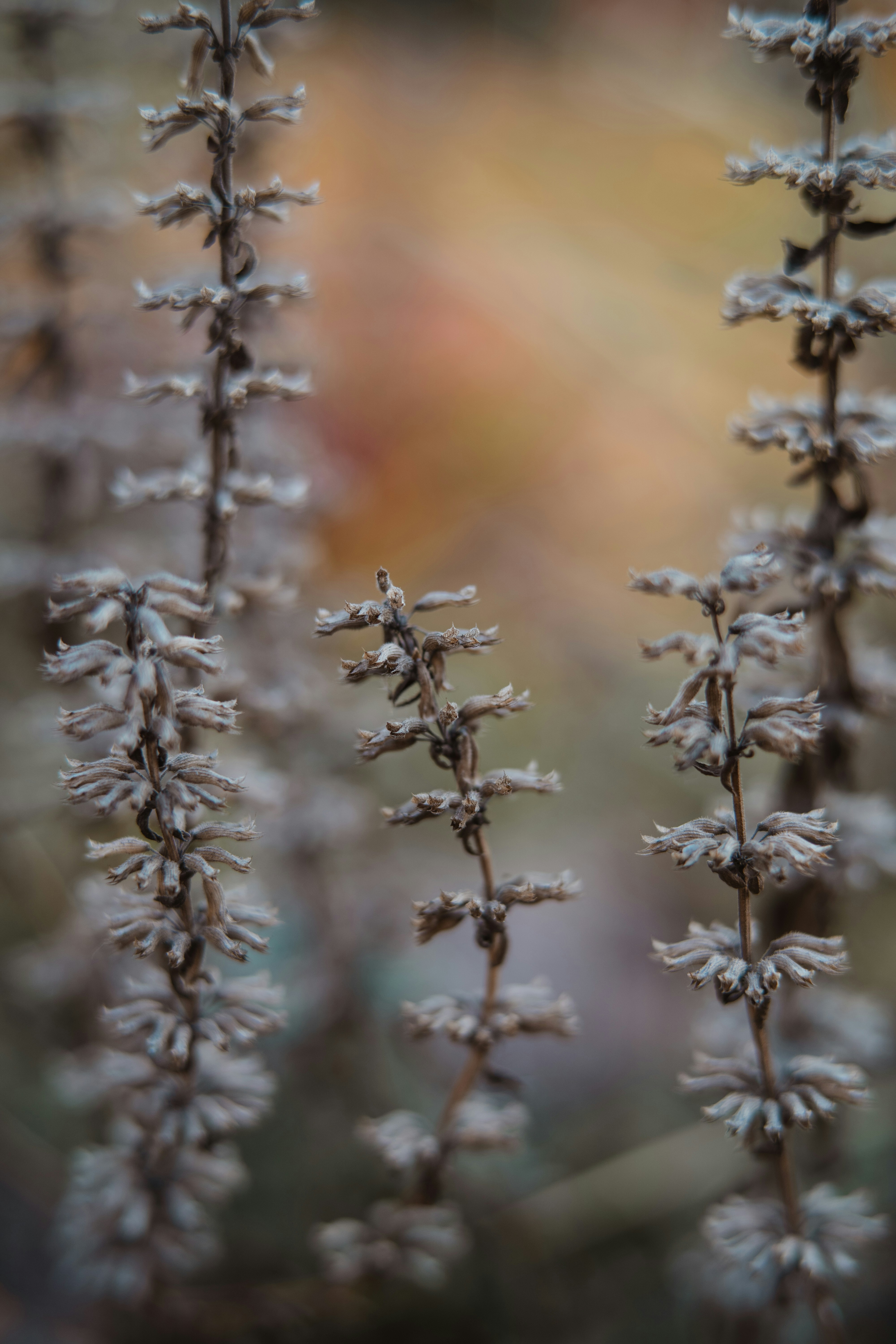 Photo by anamnesis33