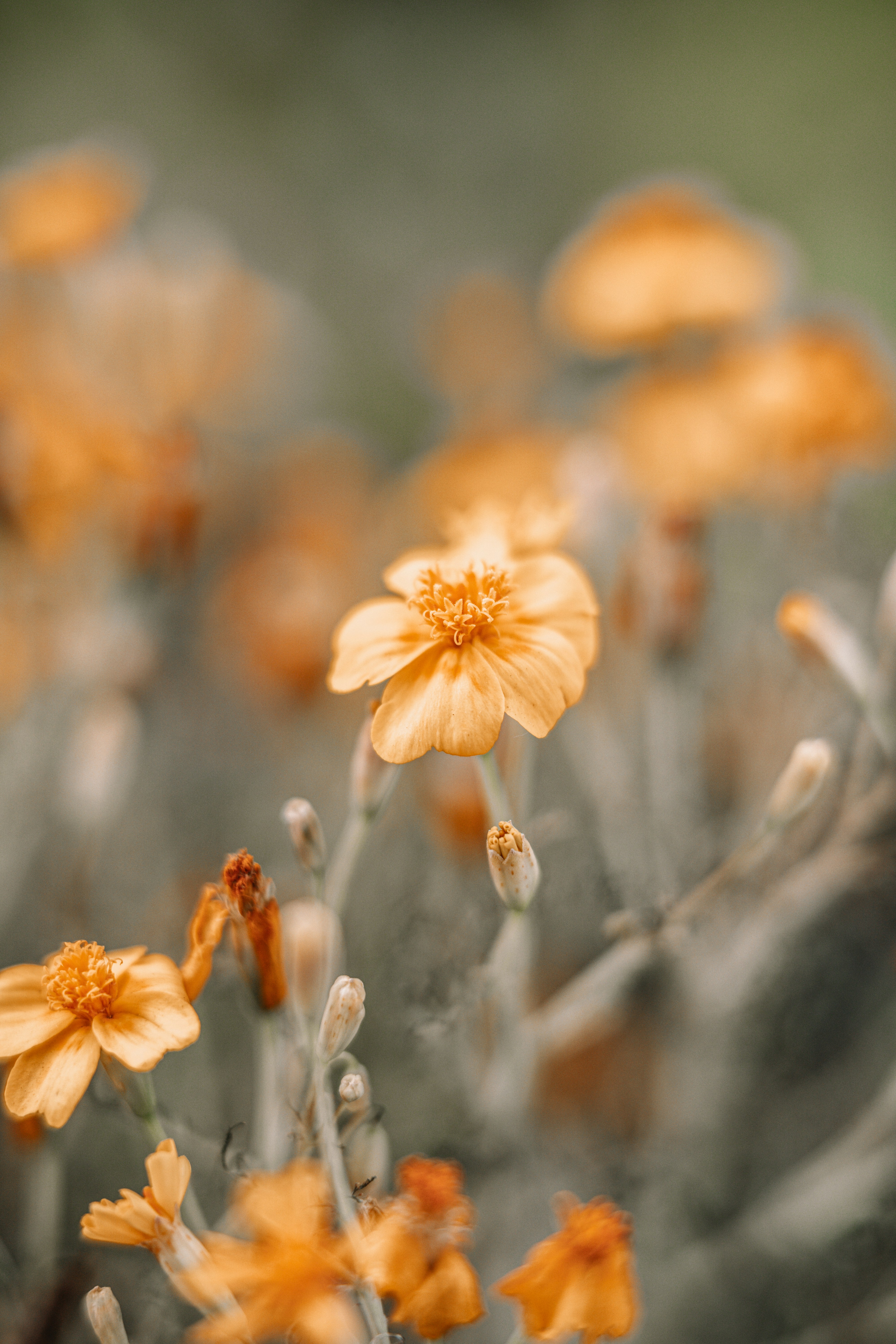 Photo by anamnesis33