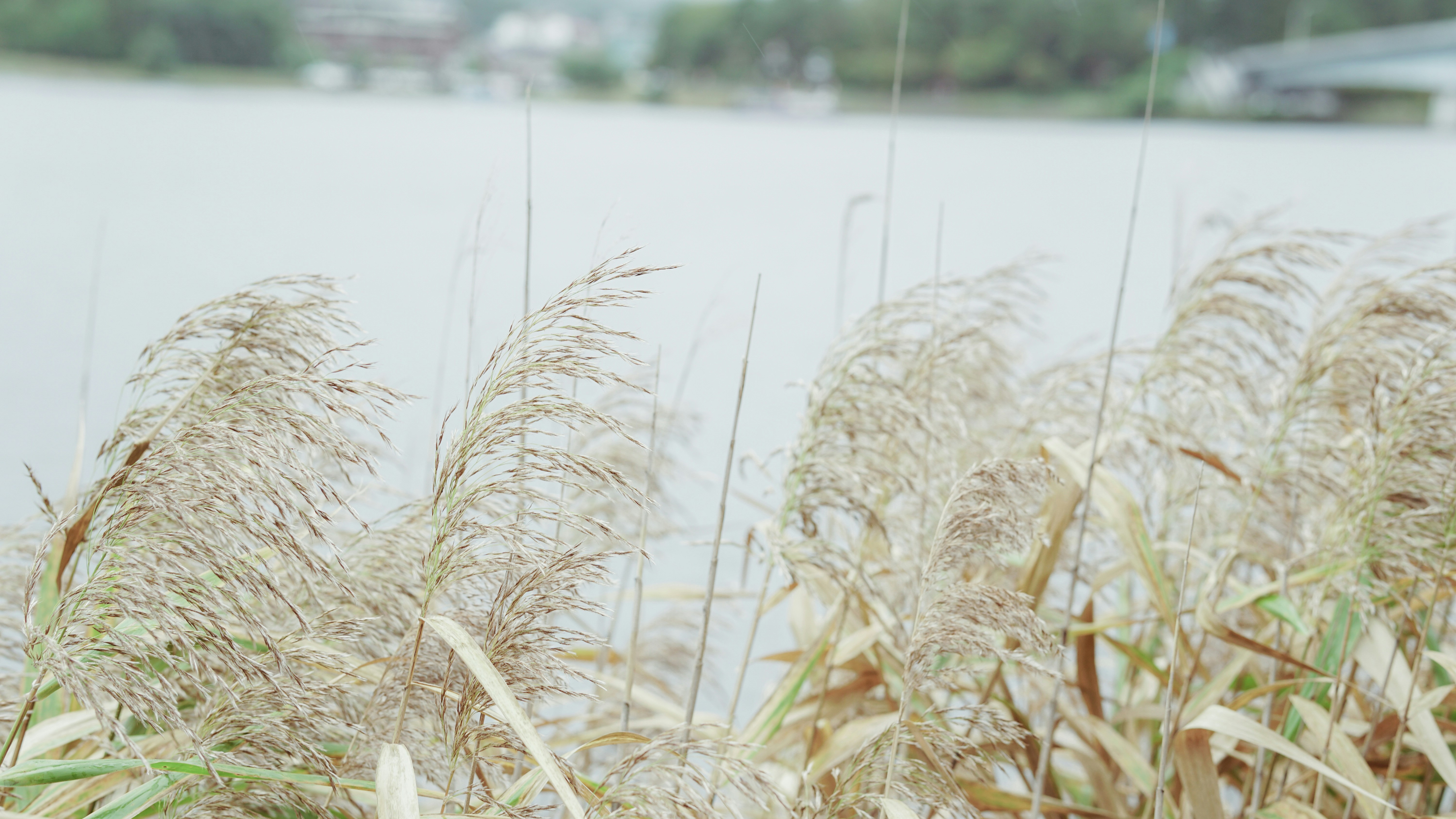 Photo by kngstm