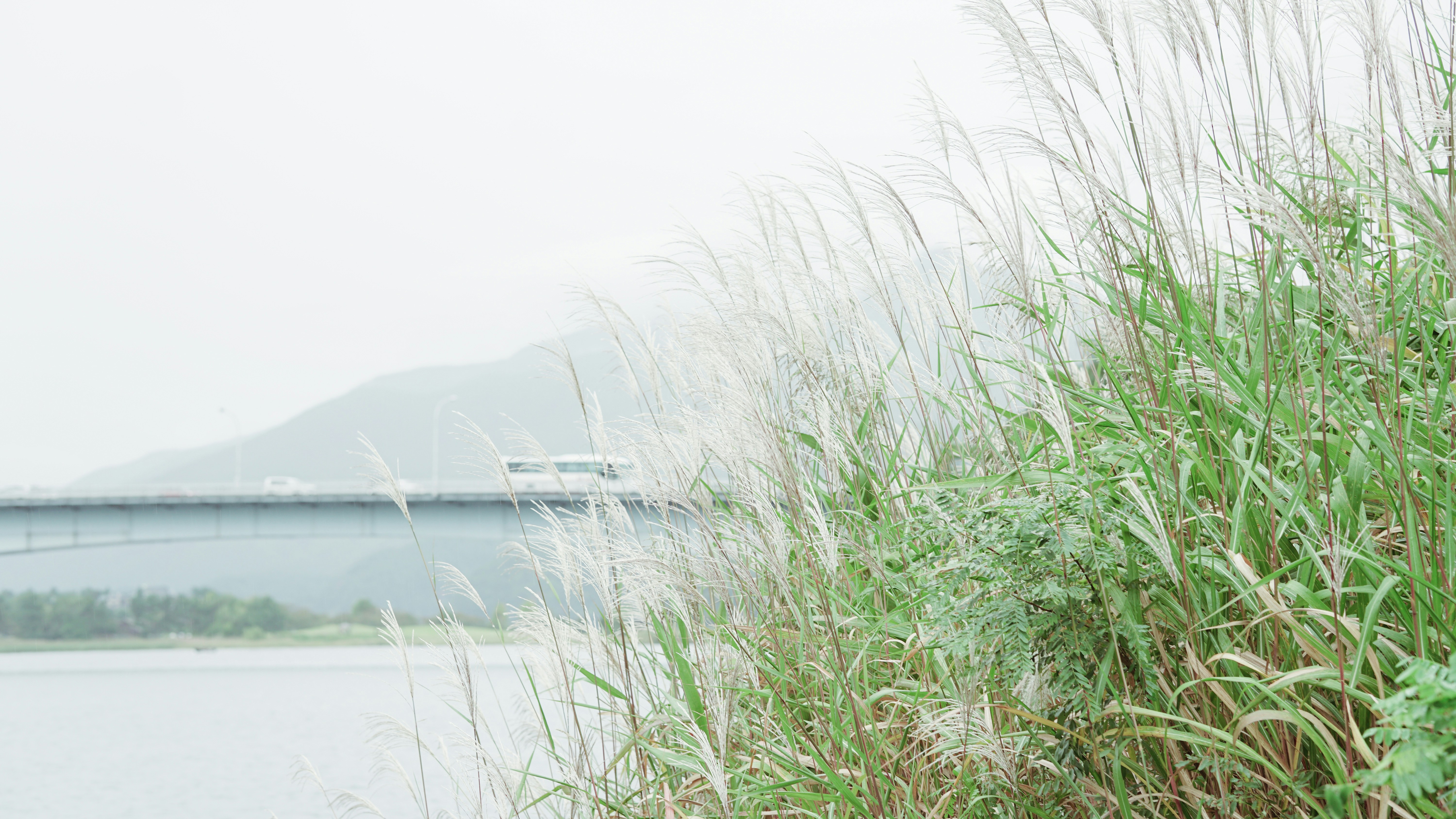 a view of a bridge over a body of water