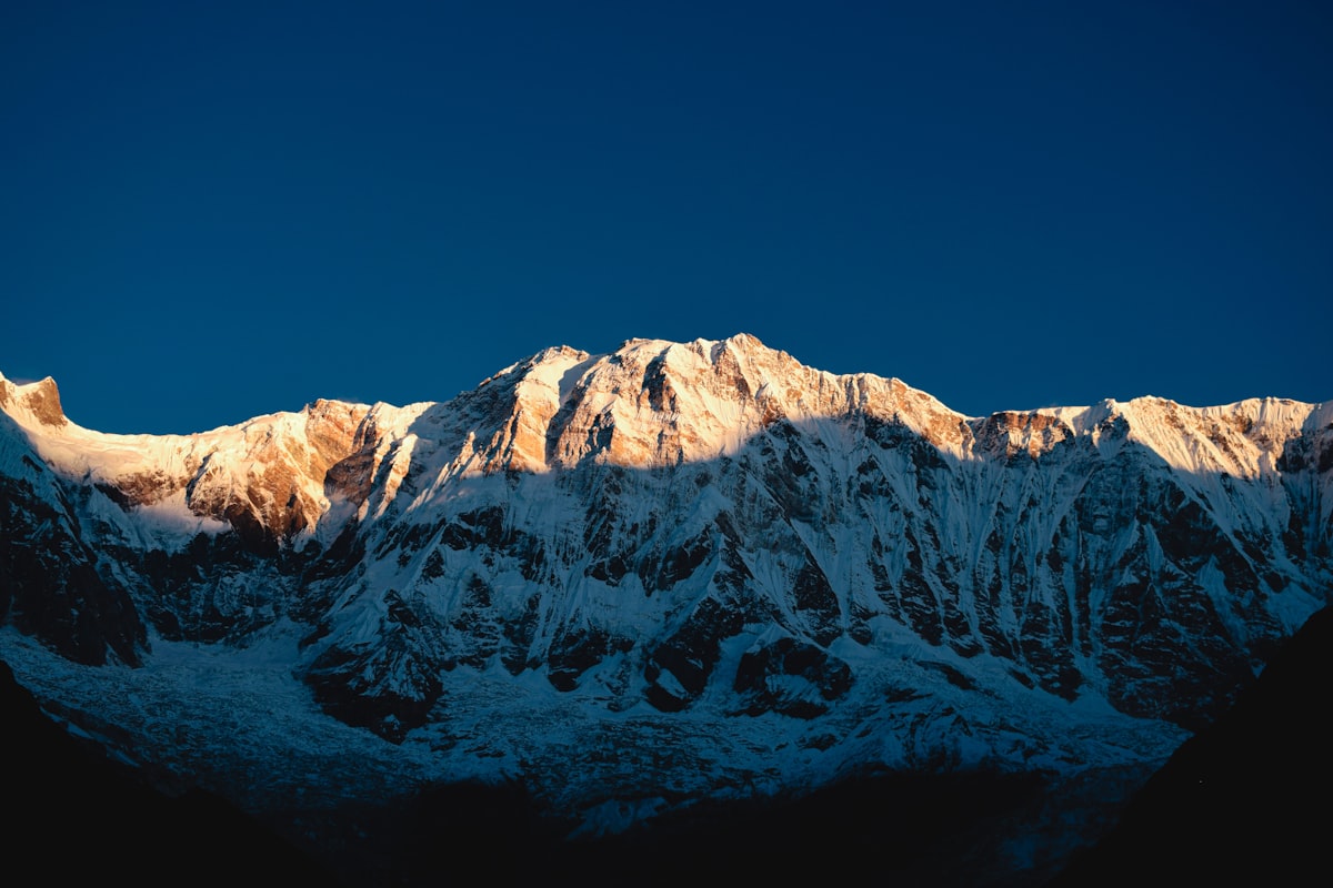 Annapurna Nepal — the Annapurna massif at dawn viewed from Poon Hill with pink rhododendrons in the foreground