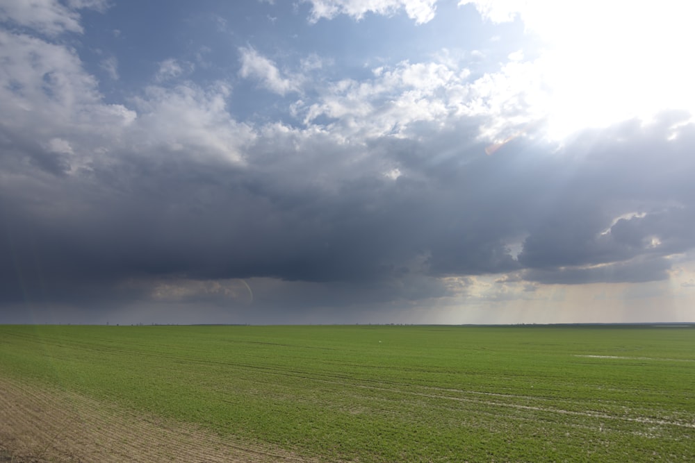 a large field with a dirt road in the middle of it