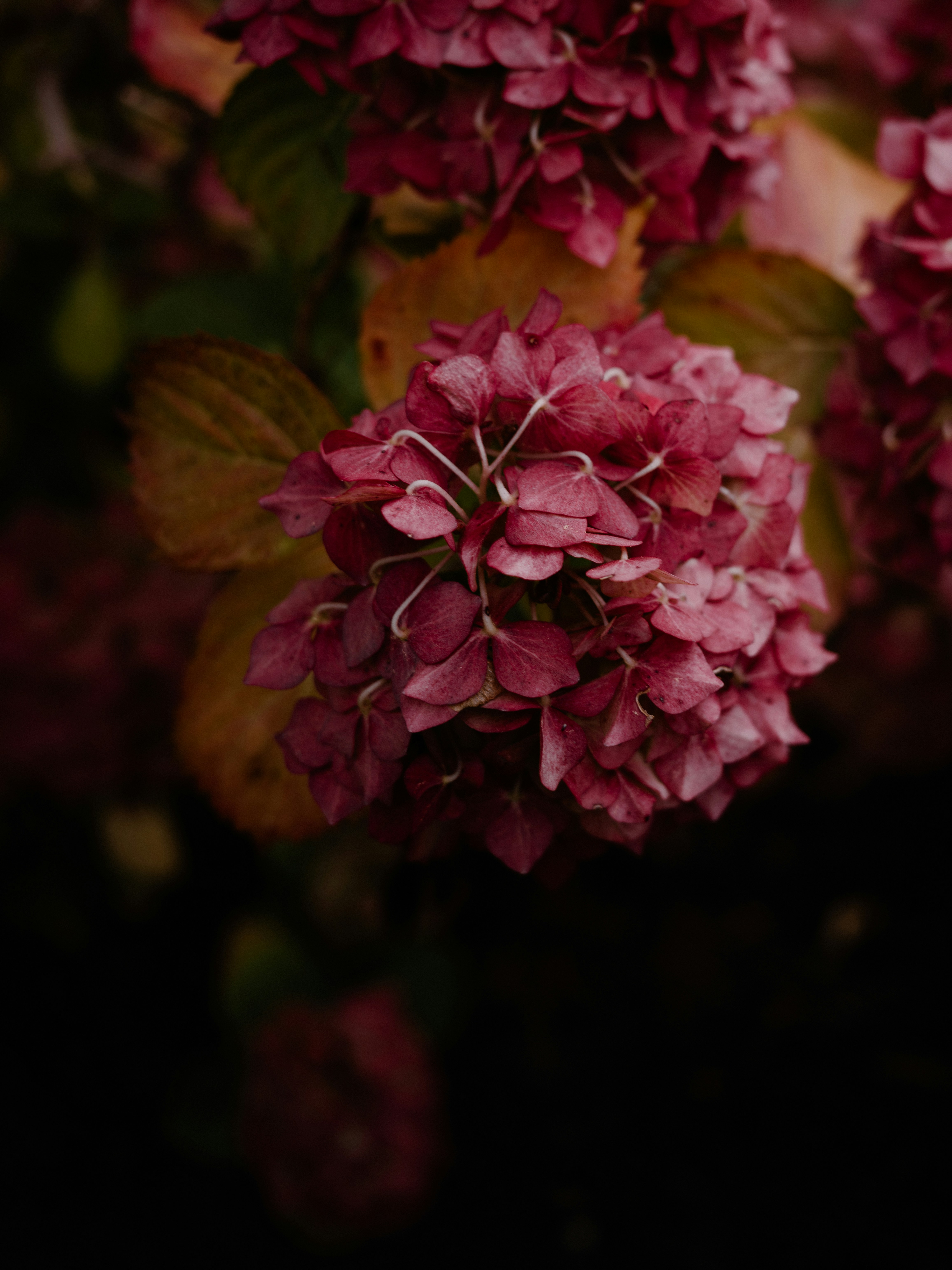 Photo by anniespratt