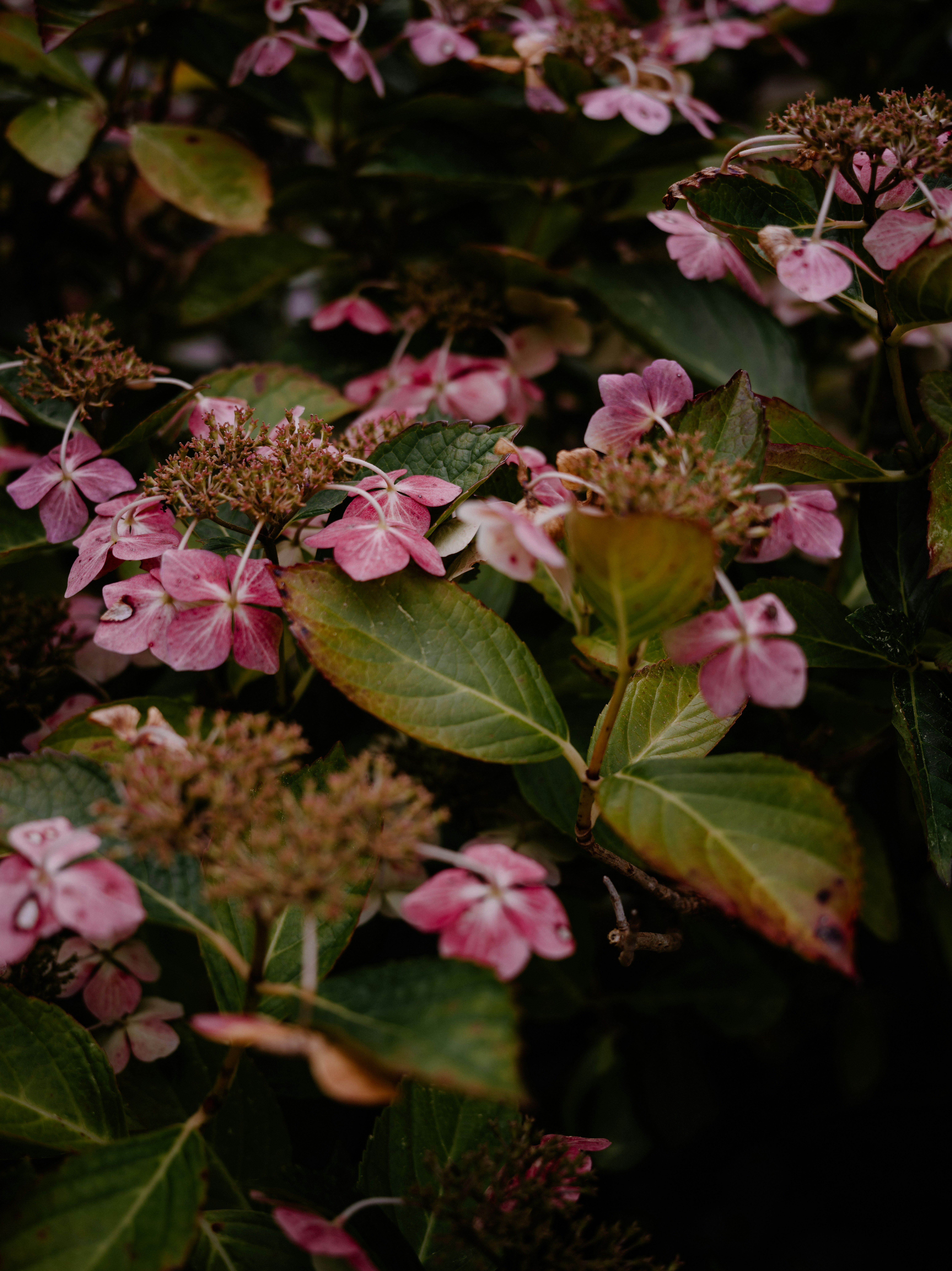 Photo by anniespratt