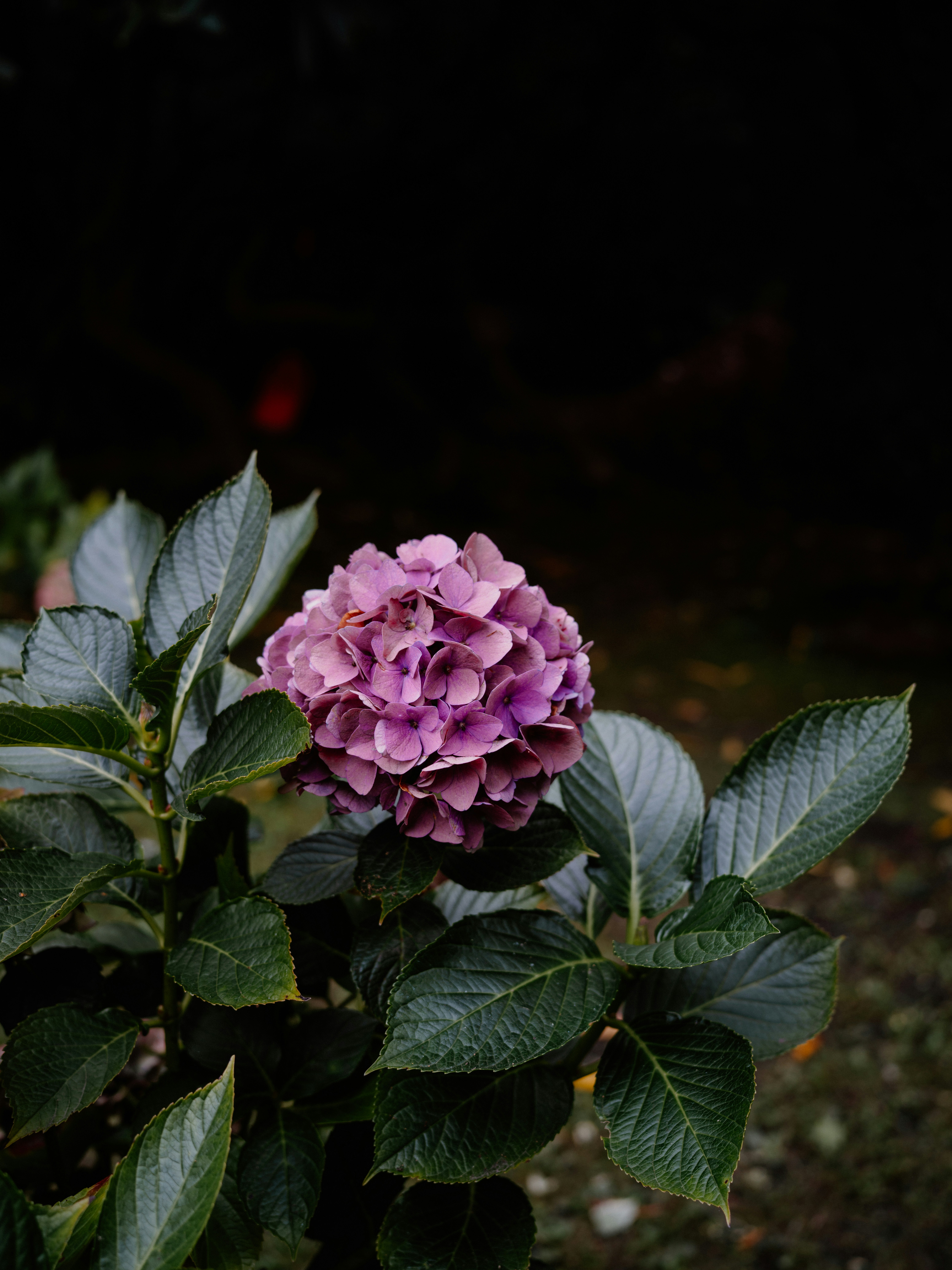 Photo by anniespratt