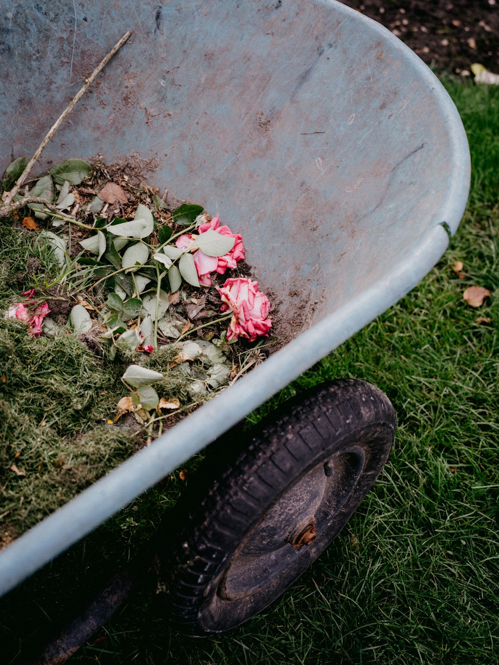 a wheelbarrow filled with dirt and flowers