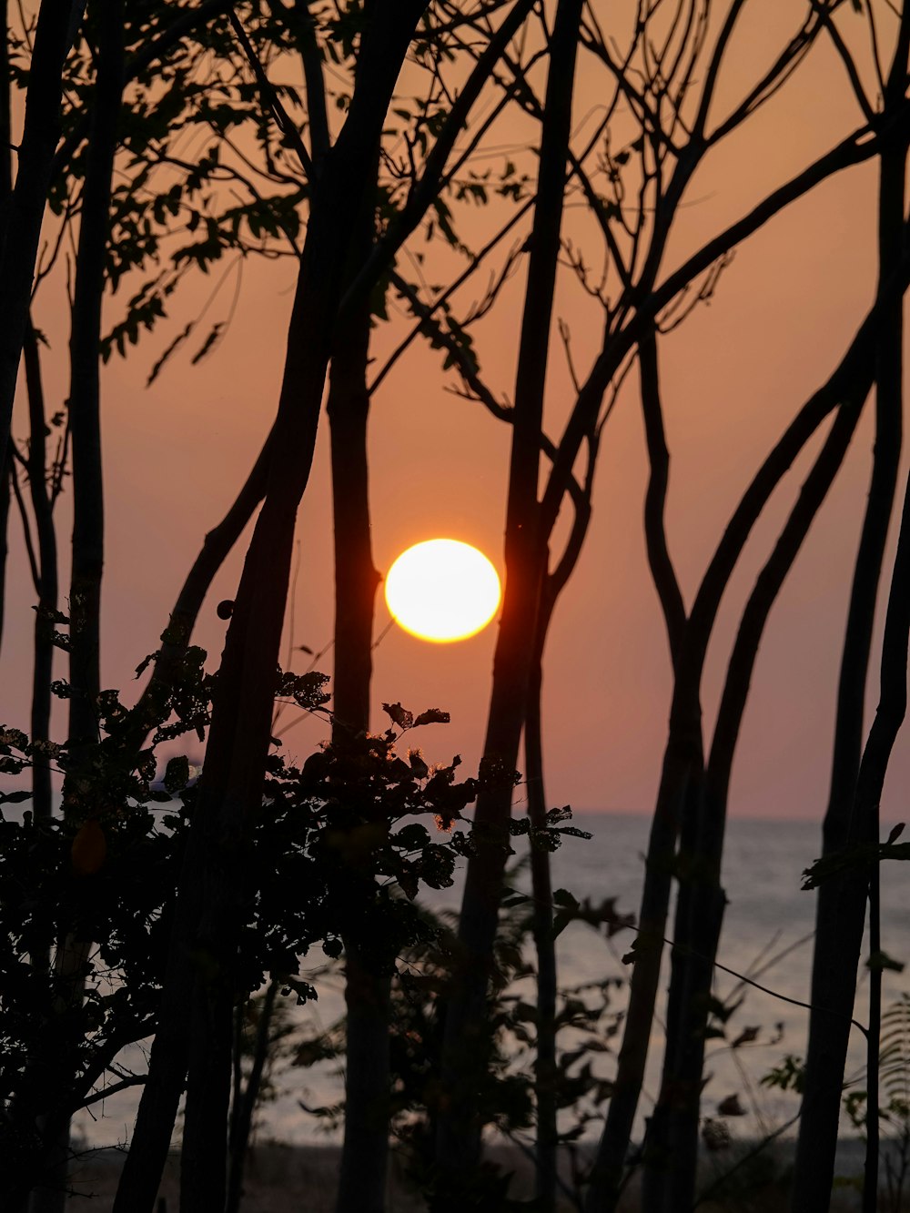 the sun is setting behind some trees