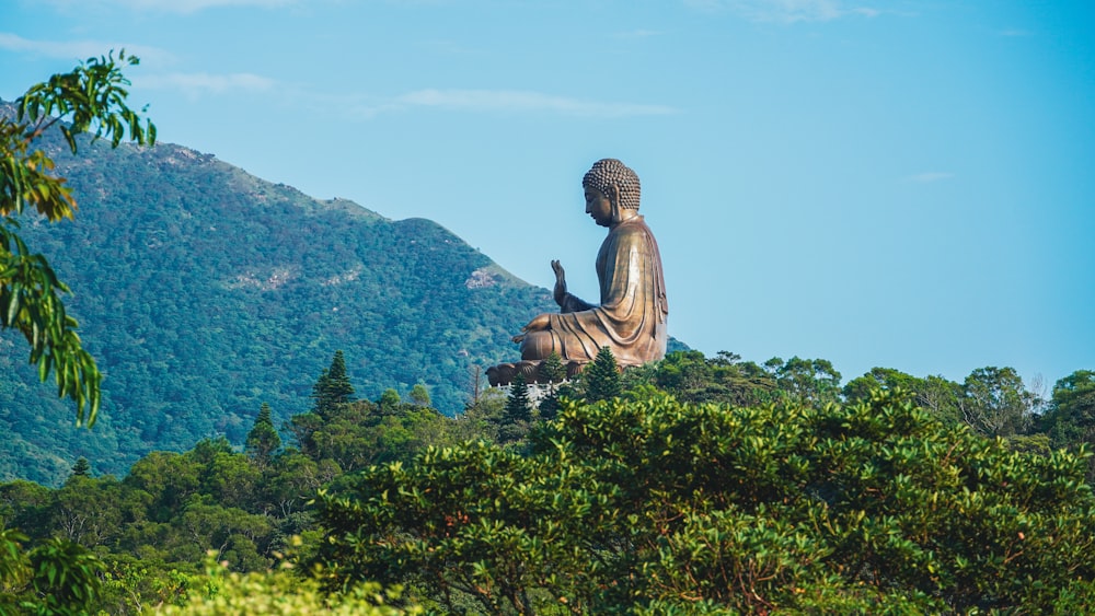 a large buddha statue sitting on top of a lush green hillside