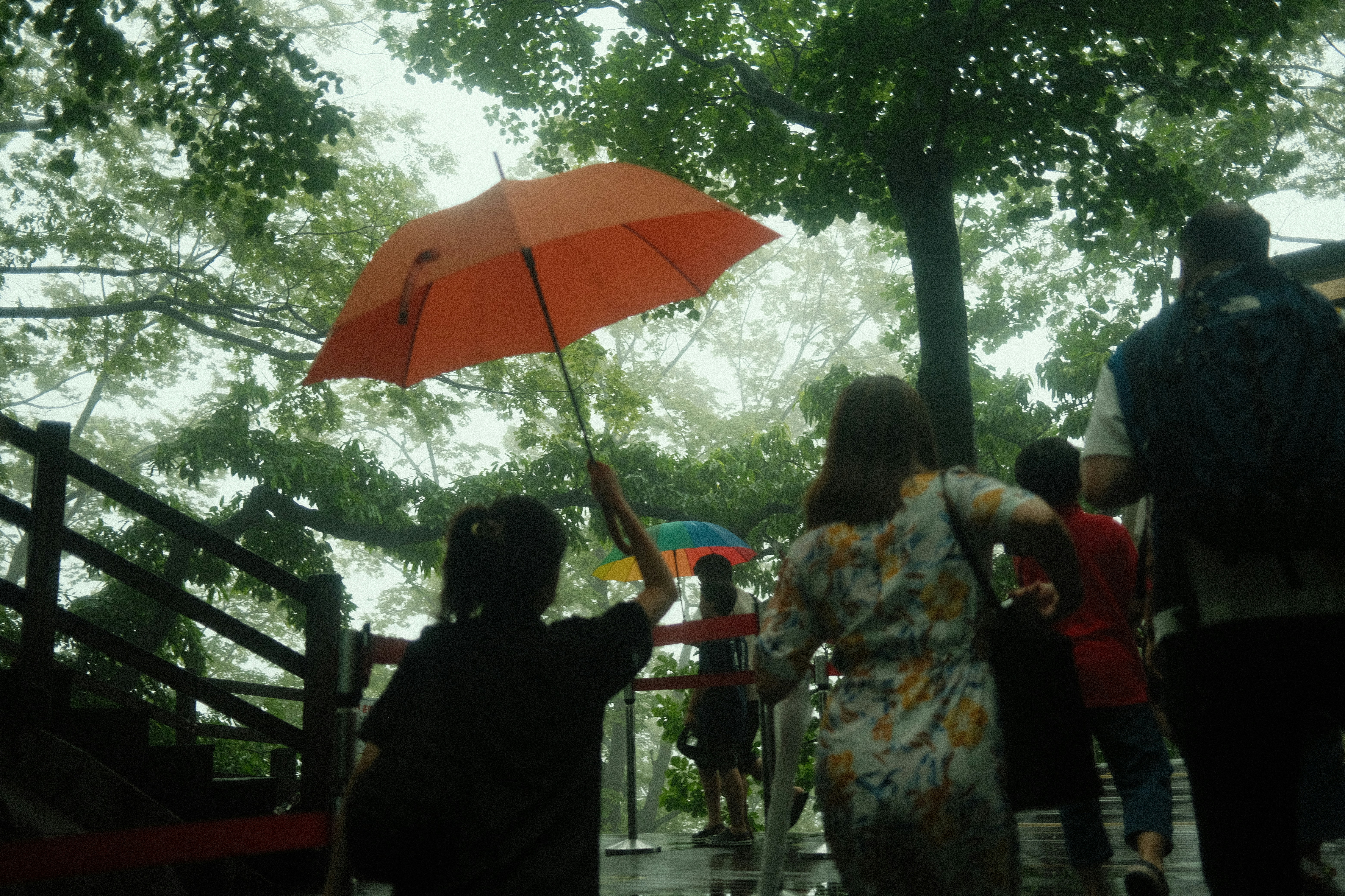 서울숲 재즈페스티벌 비 관련 이미지1