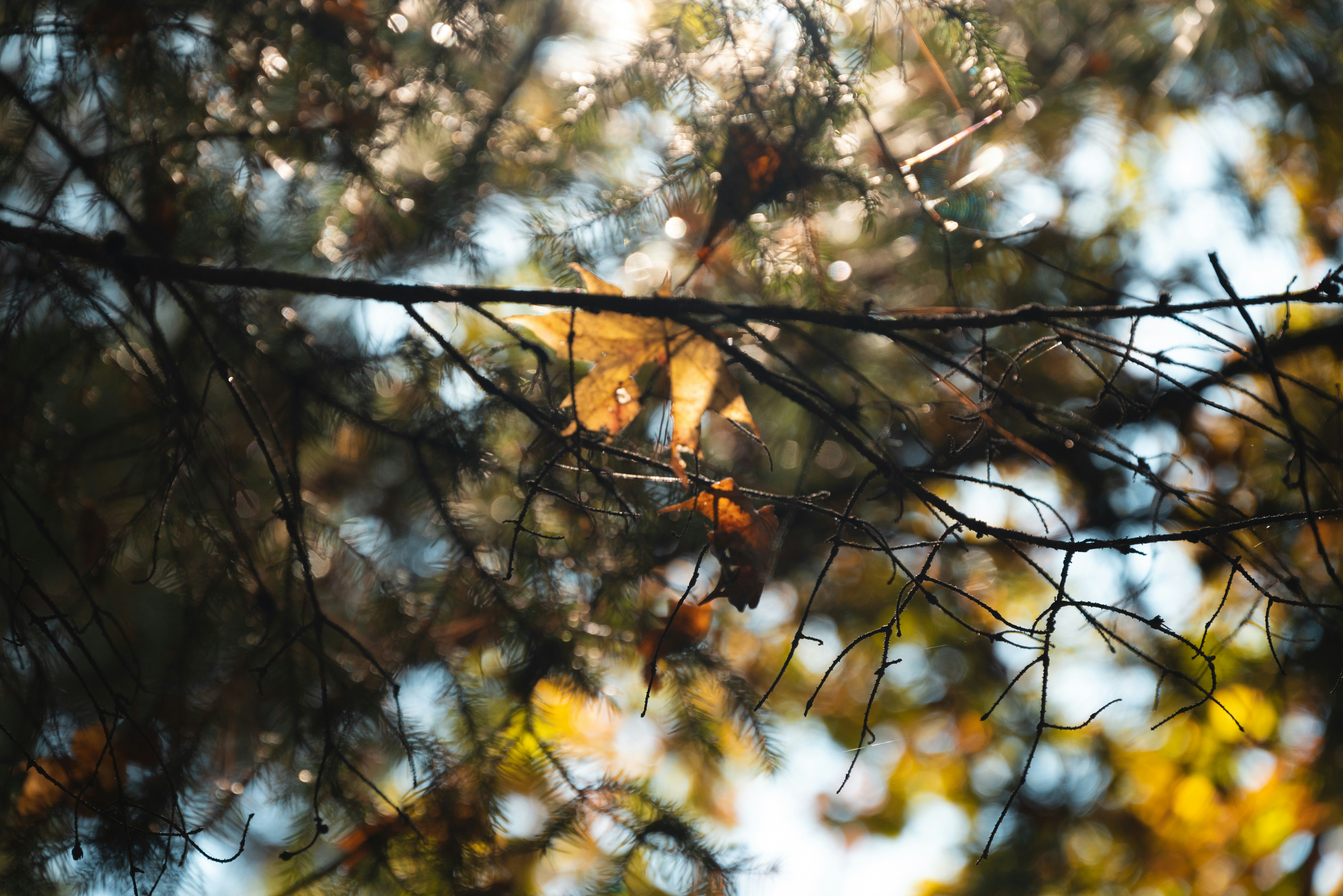 Photo by nikol_royce