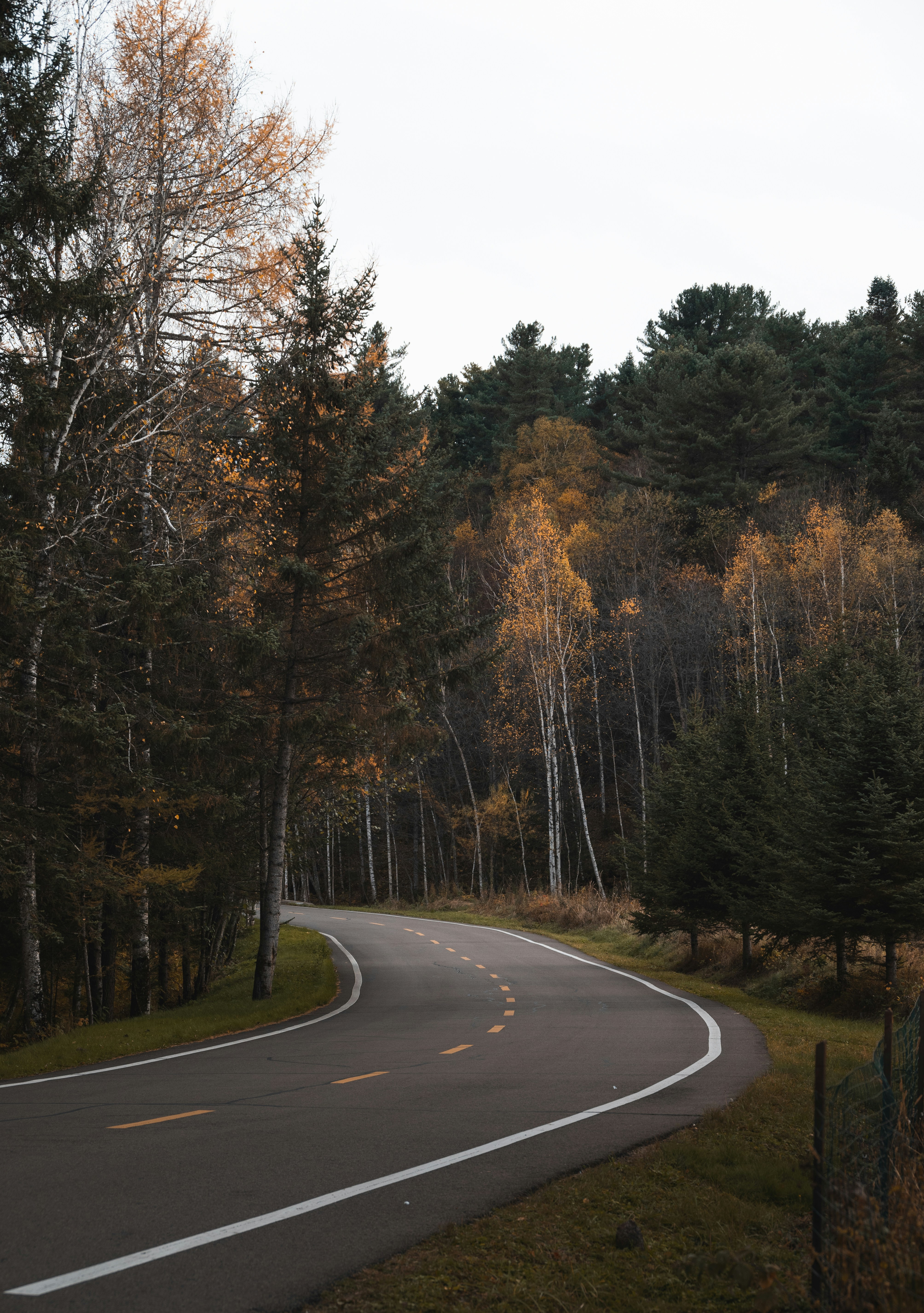 Photo by nikol_royce