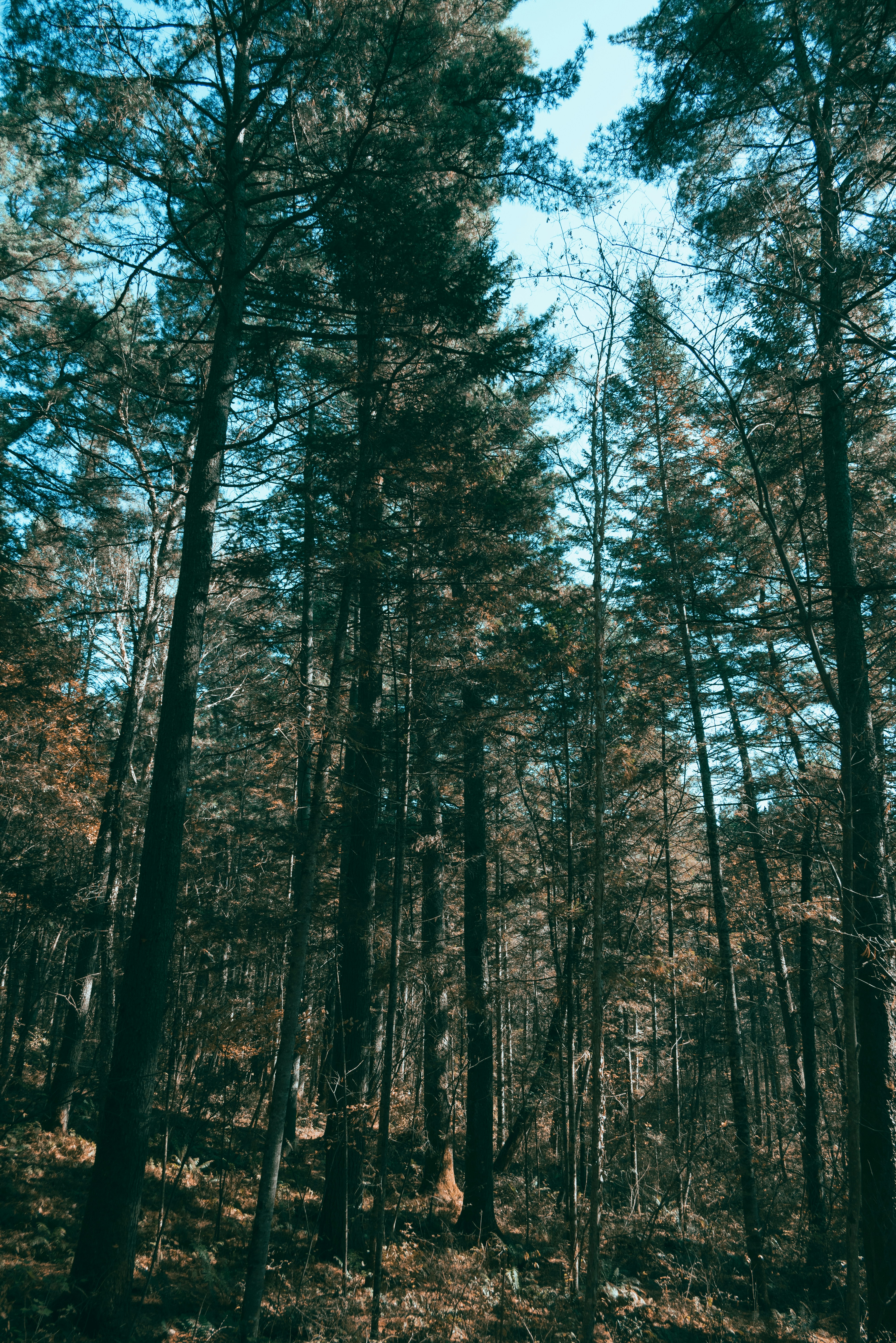 Photo by nikol_royce