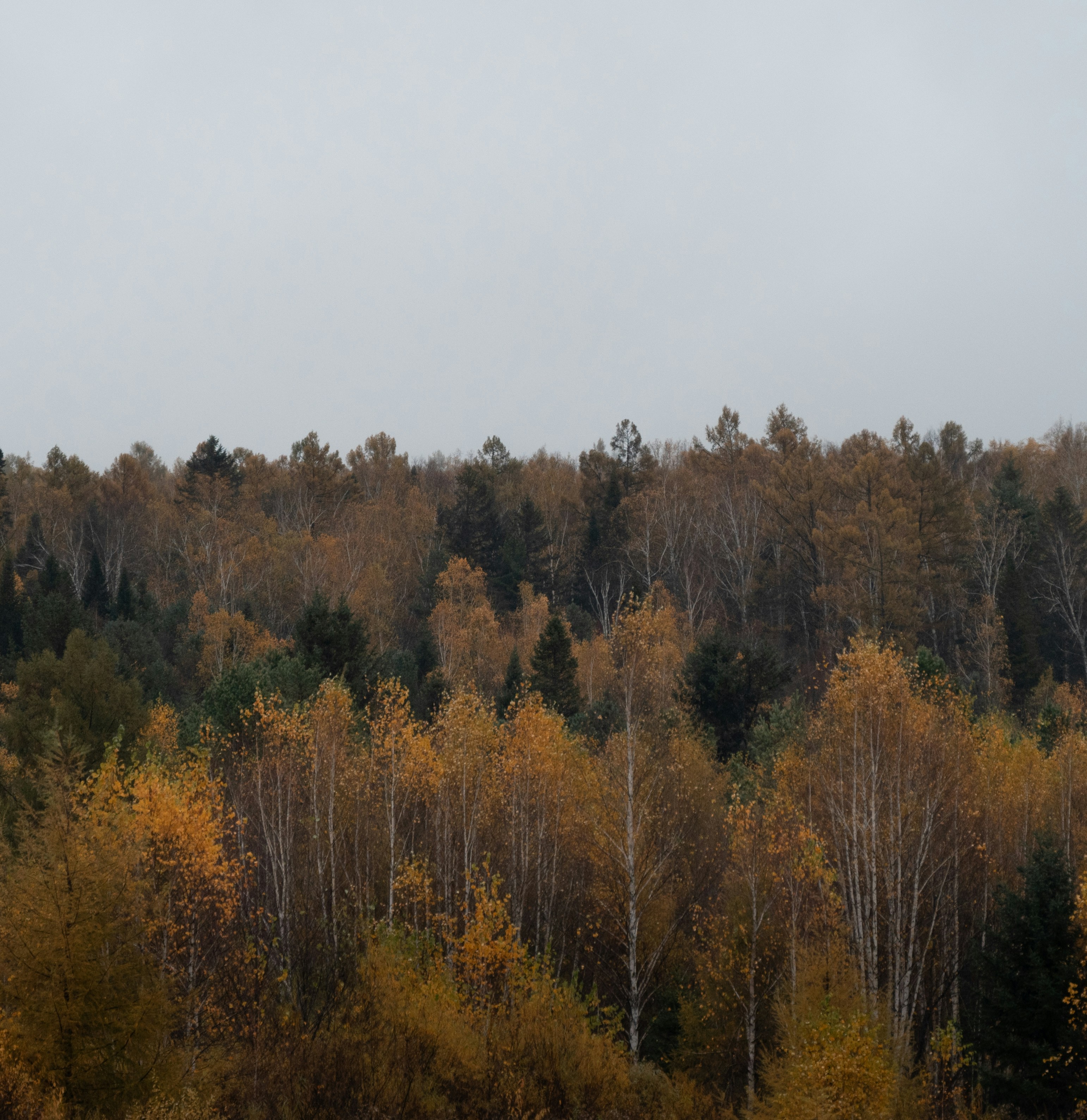 Photo by nikol_royce