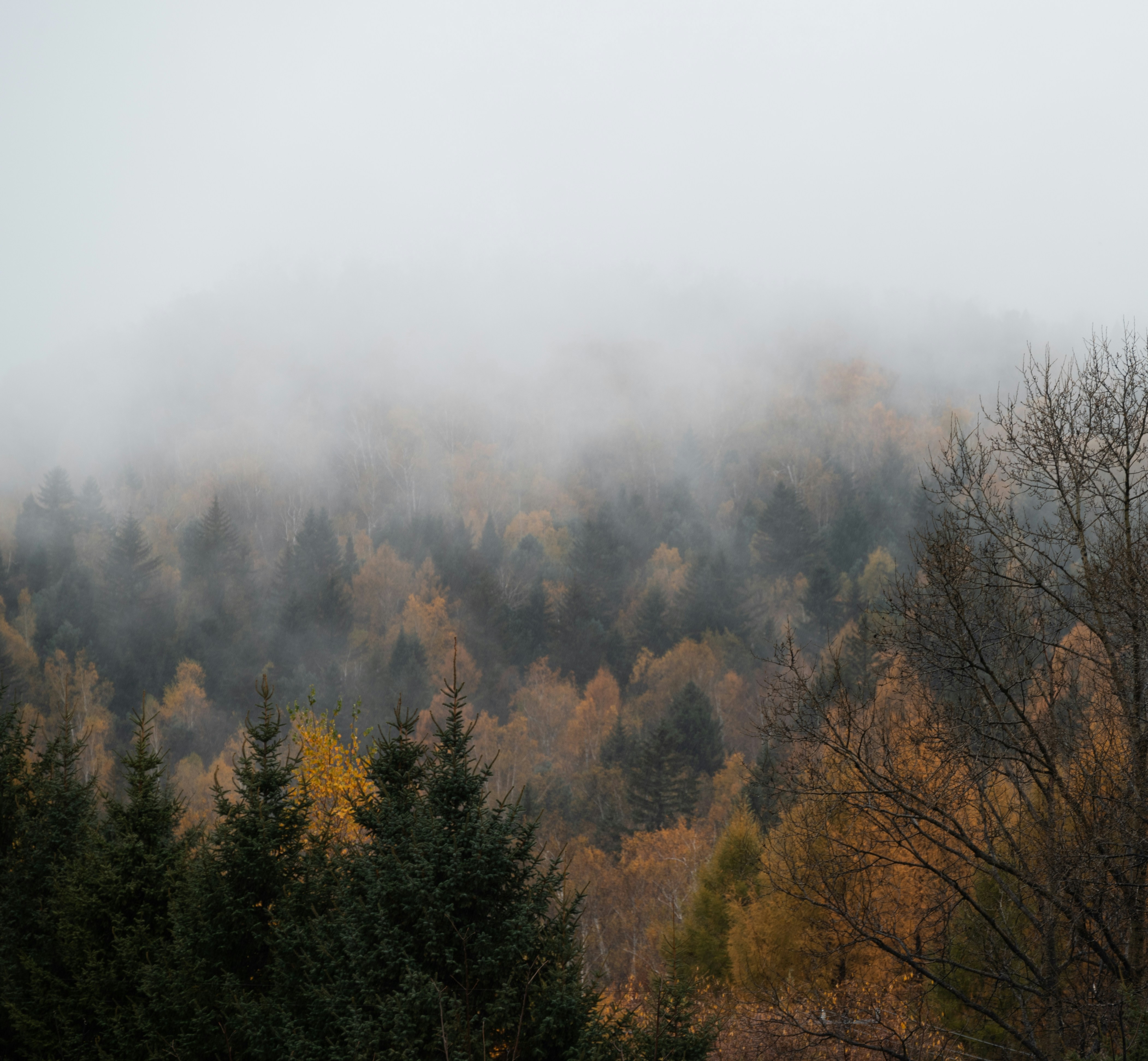 Photo by nikol_royce