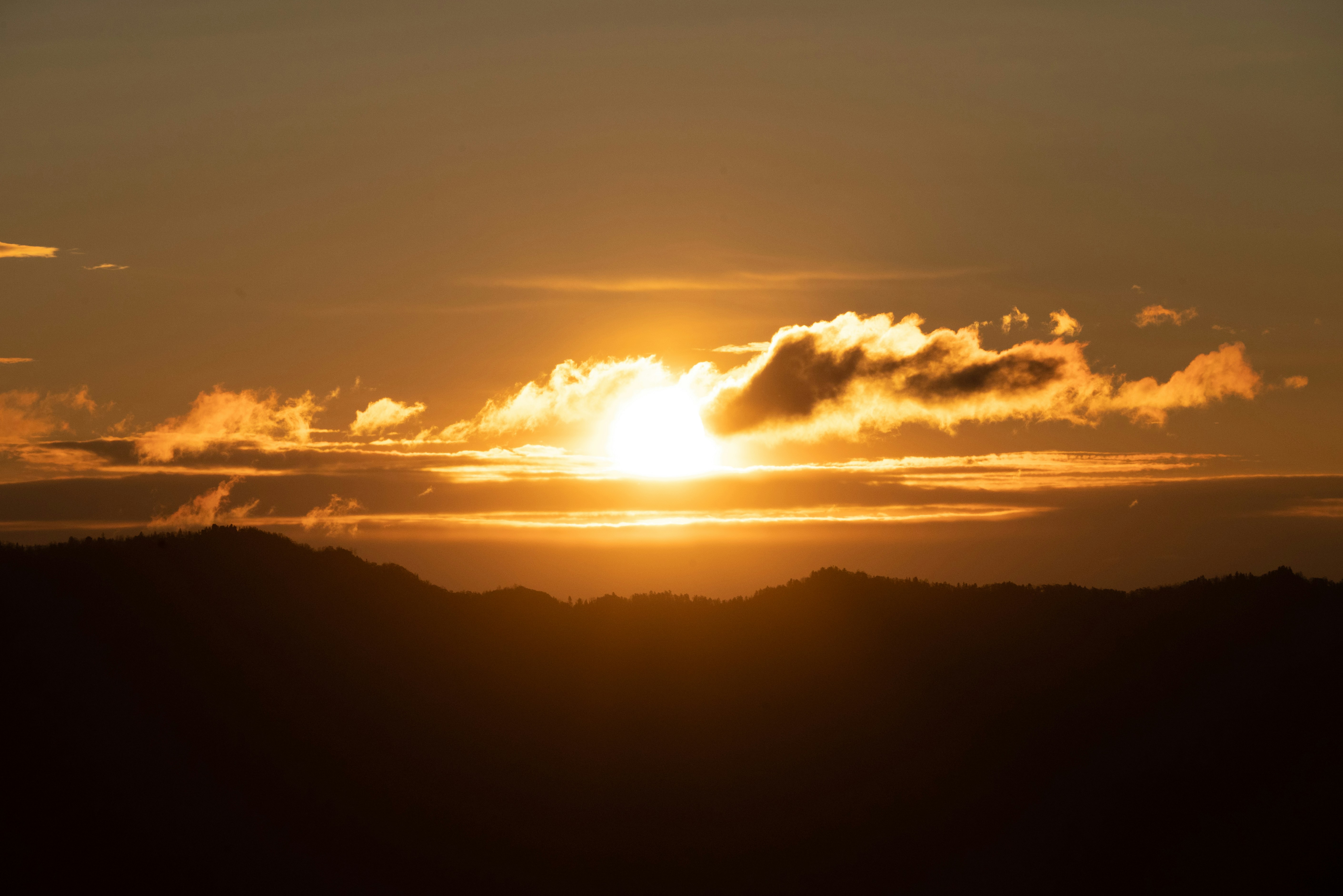 Photo by nikol_royce