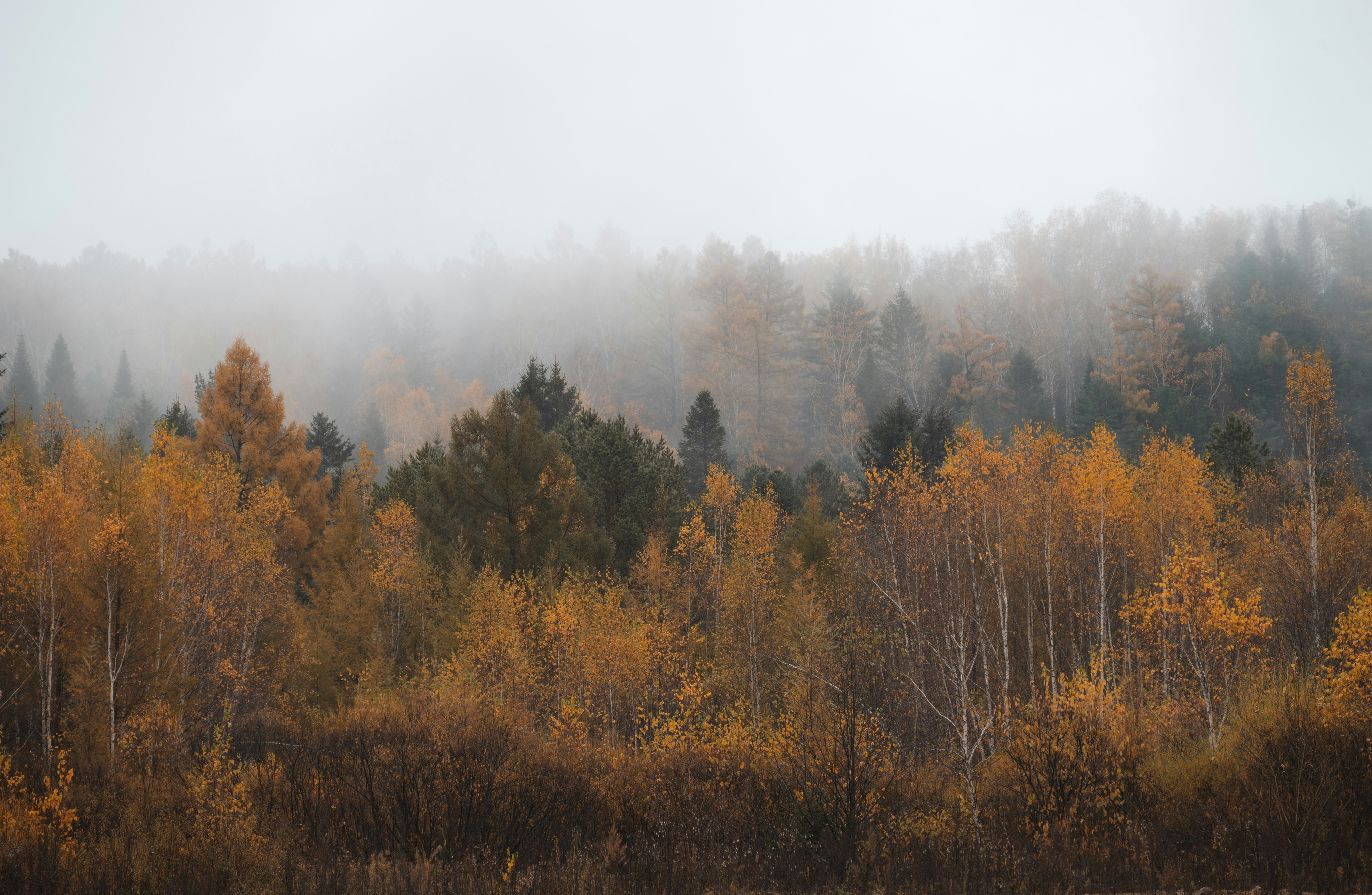 Photo by nikol_royce