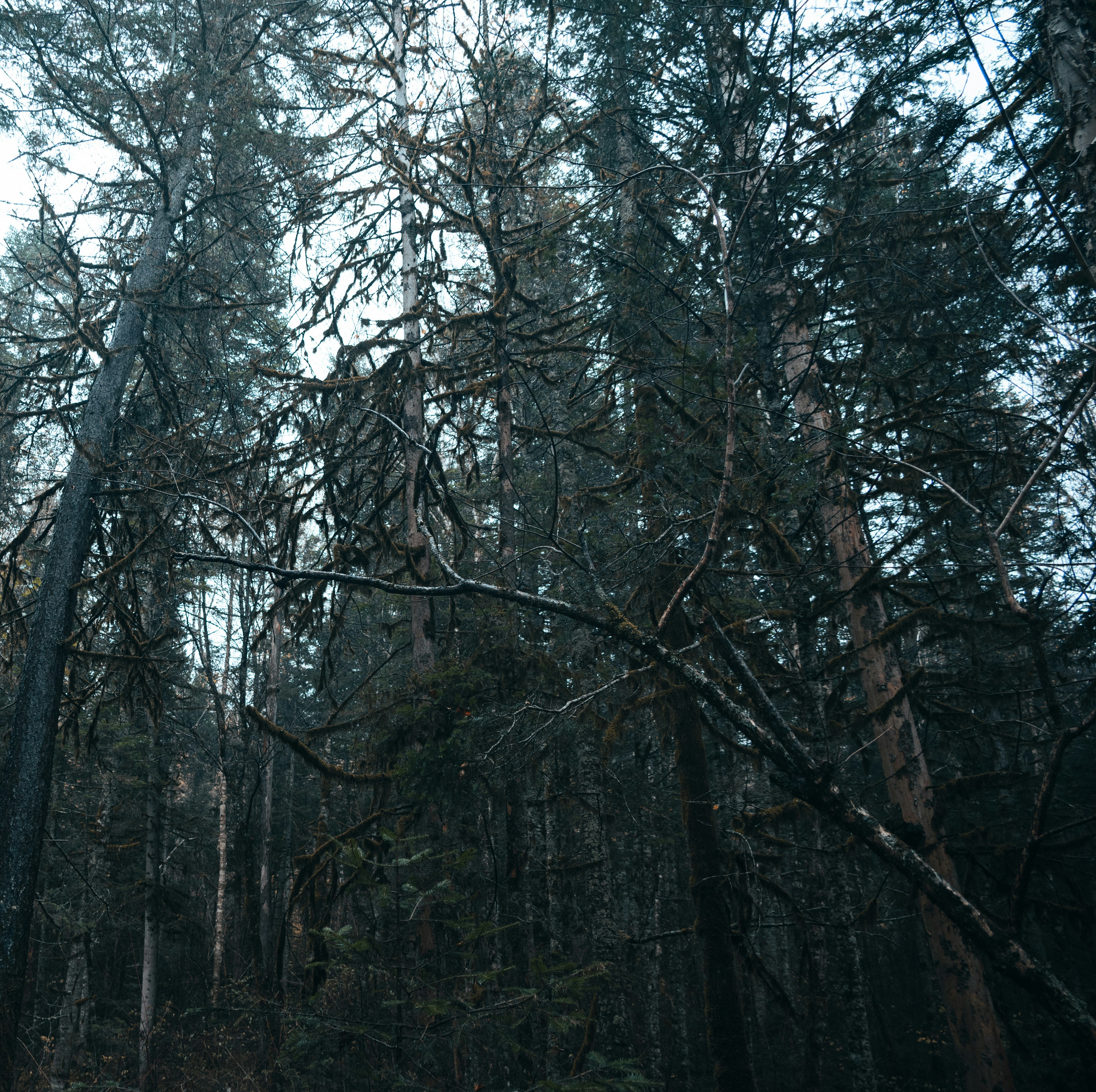 Photo by nikol_royce