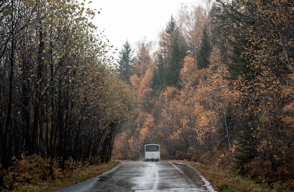 a truck driving down a wet road surrounded by trees