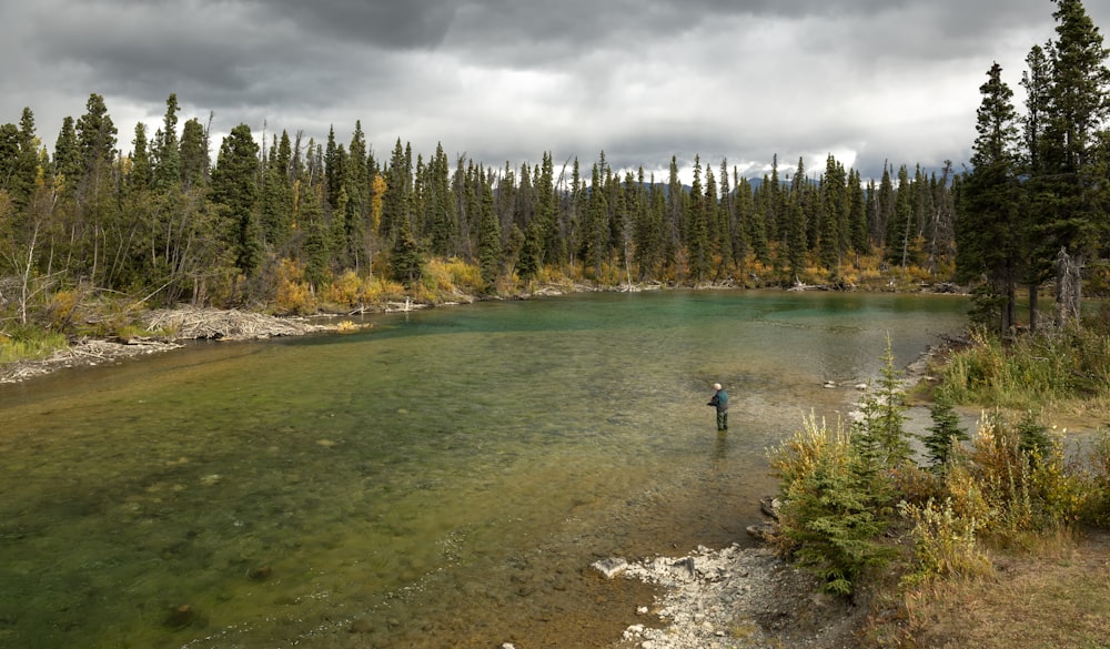 a man standing in a river next to a forest