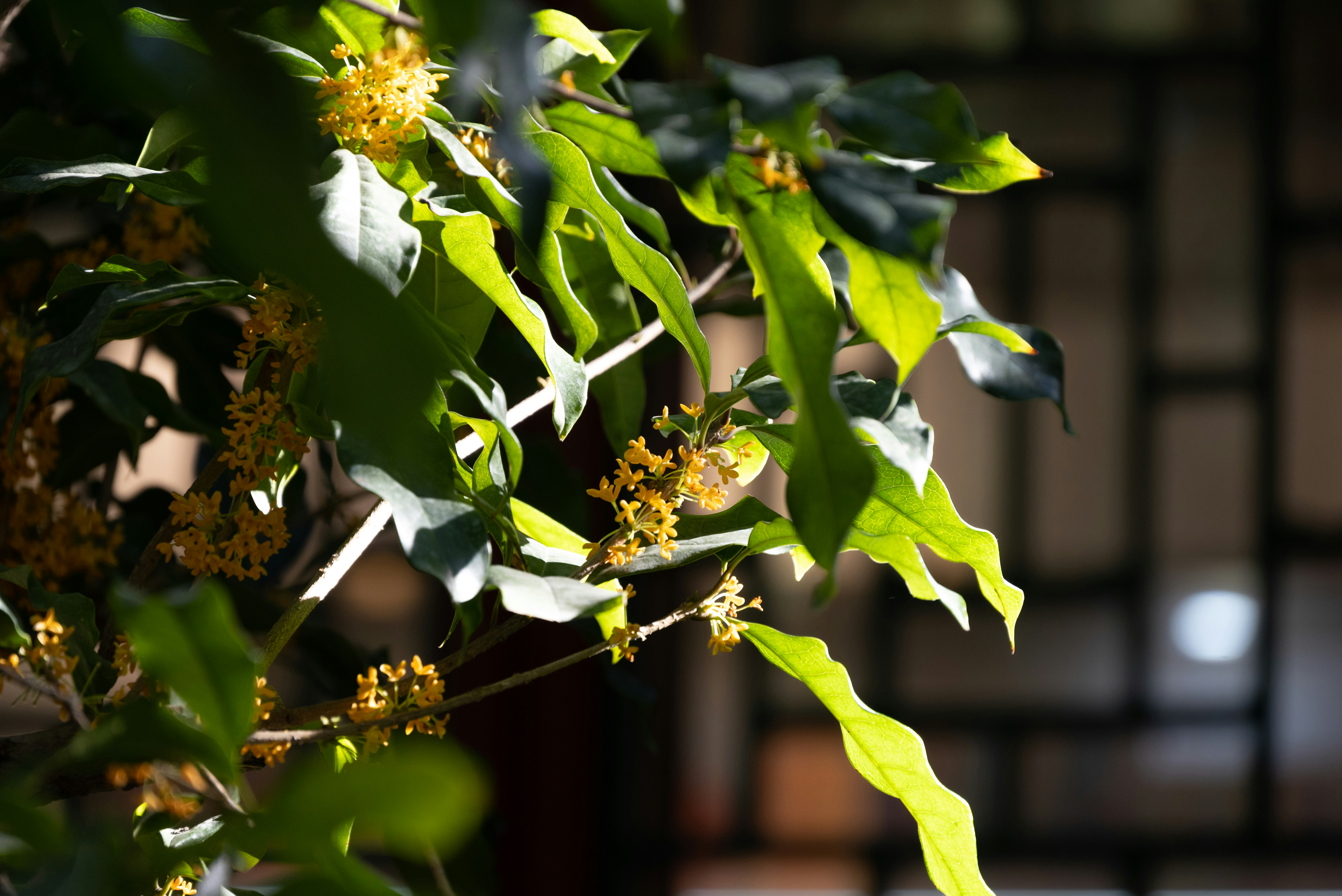 Photo by nikol_royce