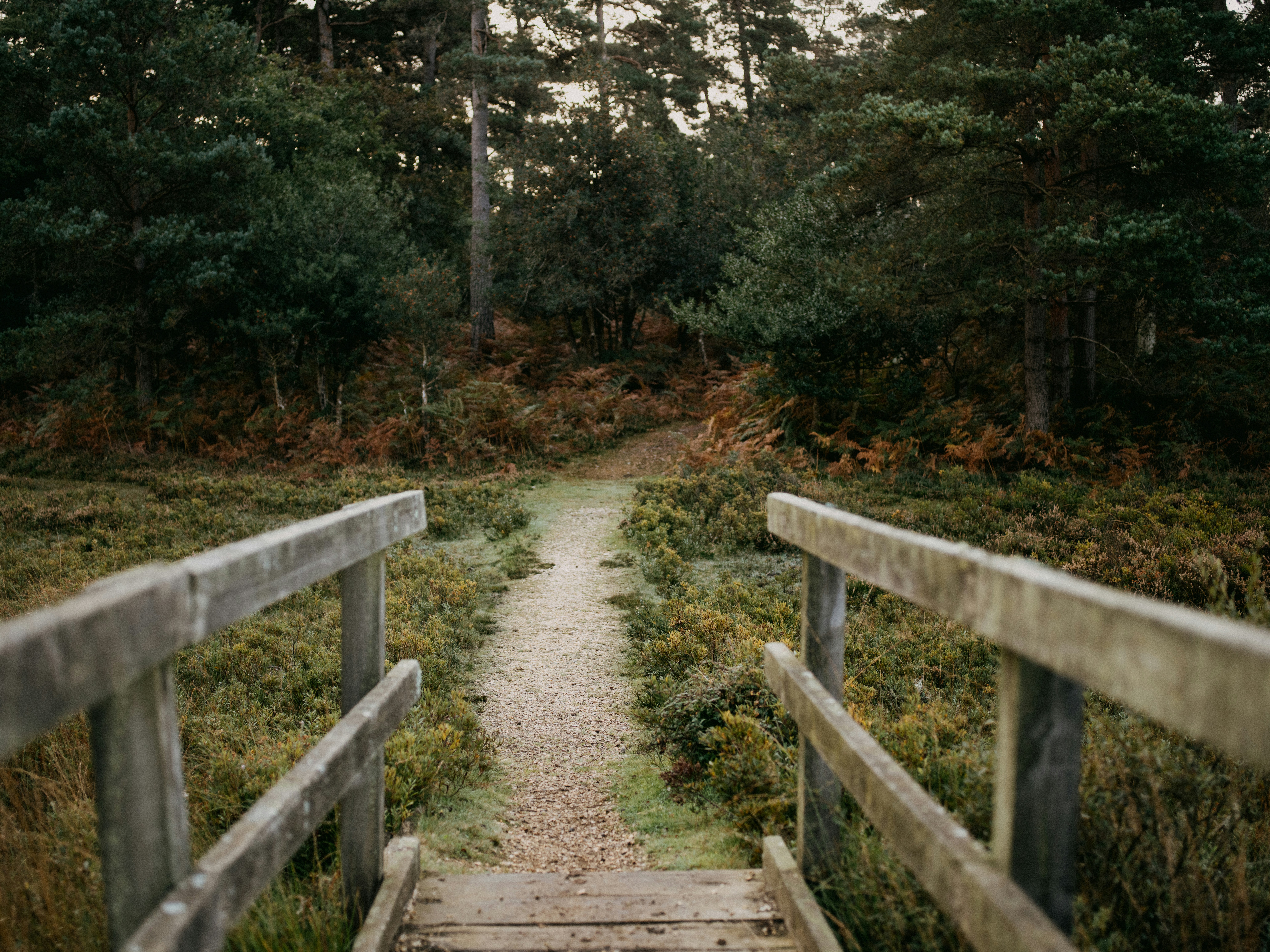 Photo by anniespratt