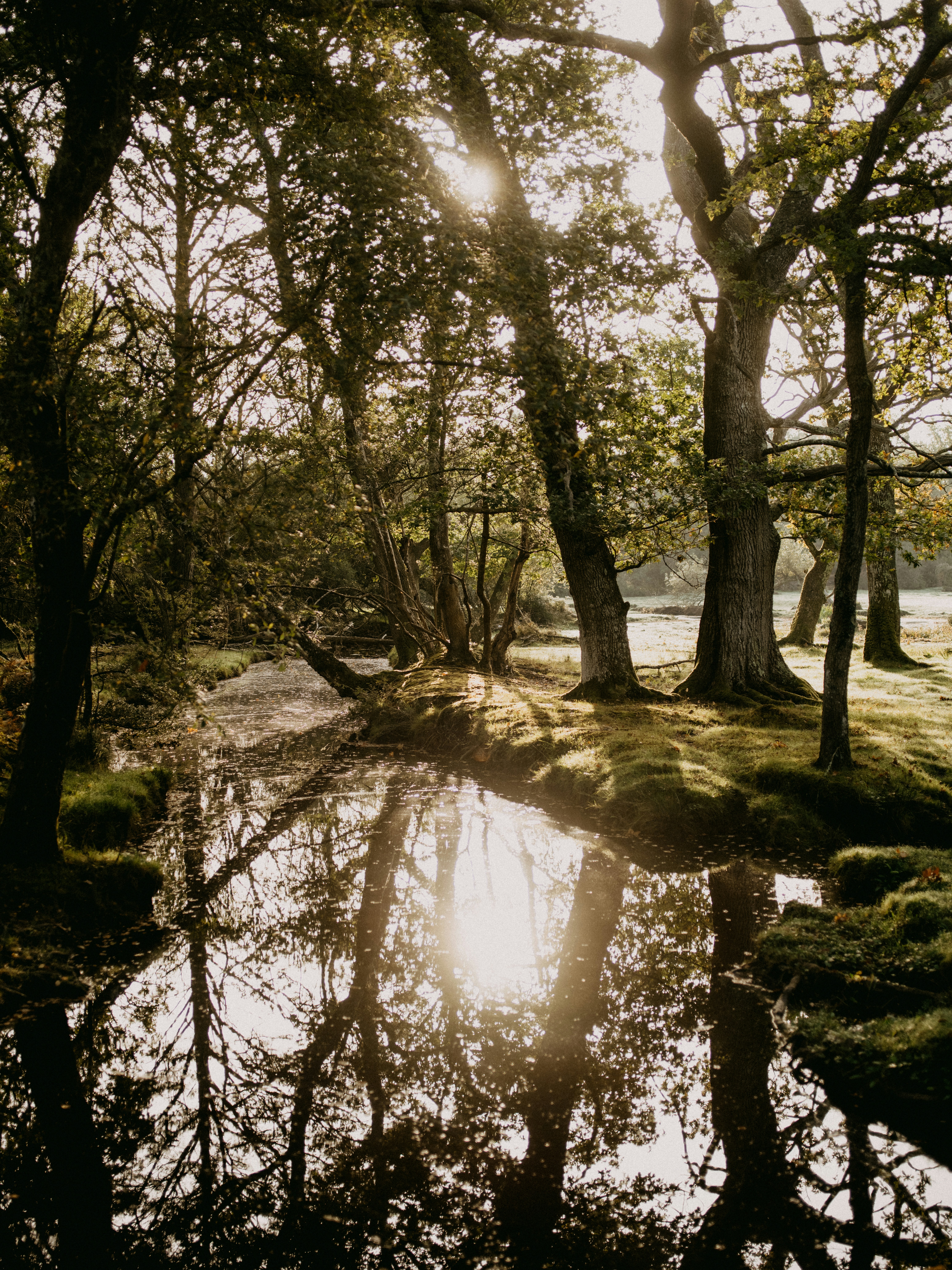 Photo by anniespratt