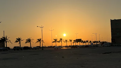 Sunset casting warm light over a winding road lined with tall palms.