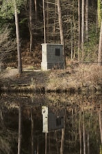 A monument or stone structure stands in a wooded area, surrounded by tall trees and dry brush. The scene includes a body of water in the foreground, reflecting the structure and some of the trees. The environment appears serene and natural.