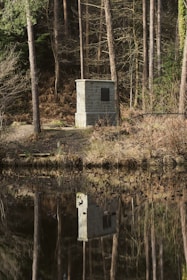A monument or stone structure stands in a wooded area, surrounded by tall trees and dry brush. The scene includes a body of water in the foreground, reflecting the structure and some of the trees. The environment appears serene and natural.