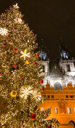 A choir singing Christmas carols in front of a historic building.