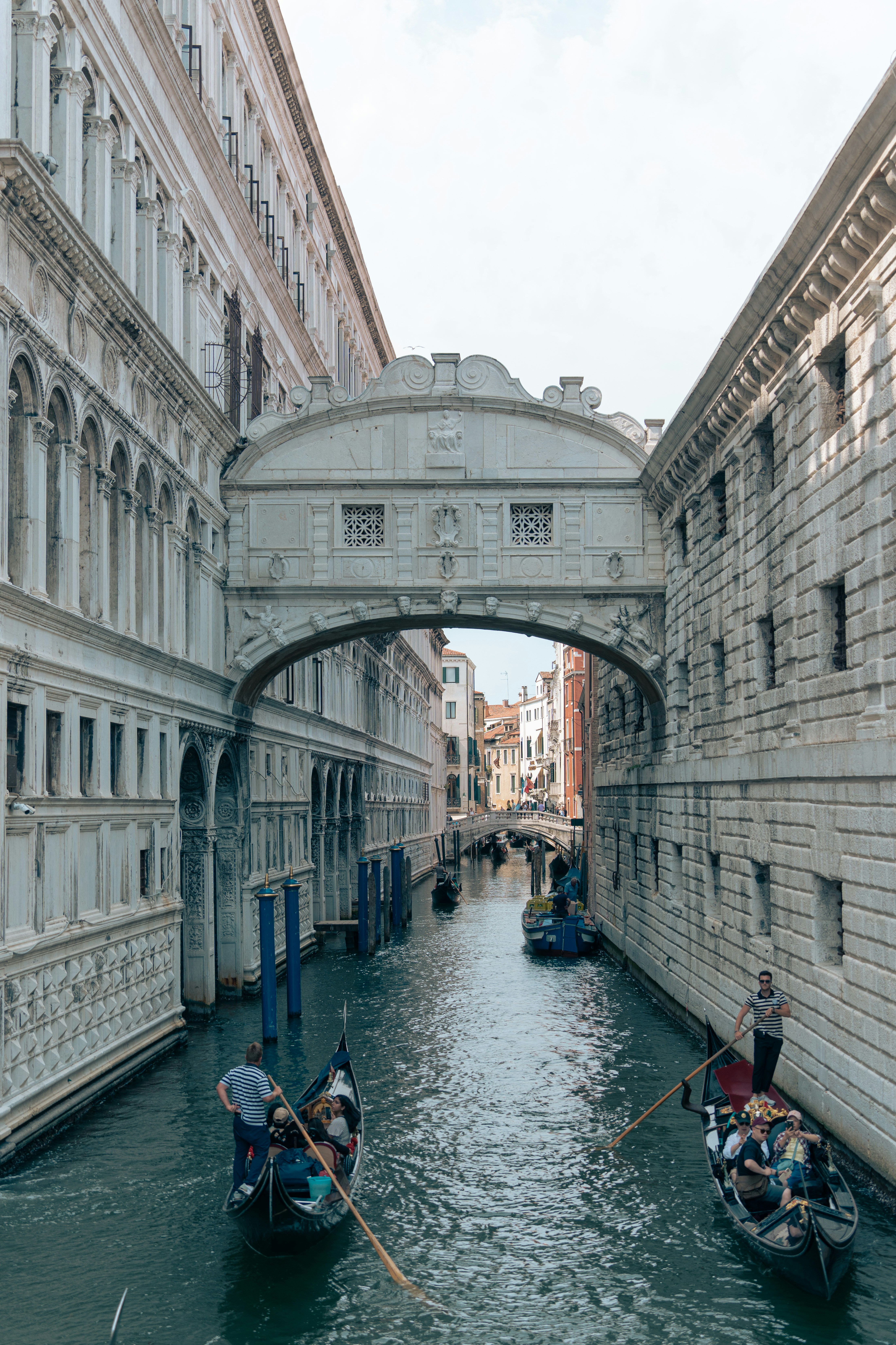 Photo by albert_canite