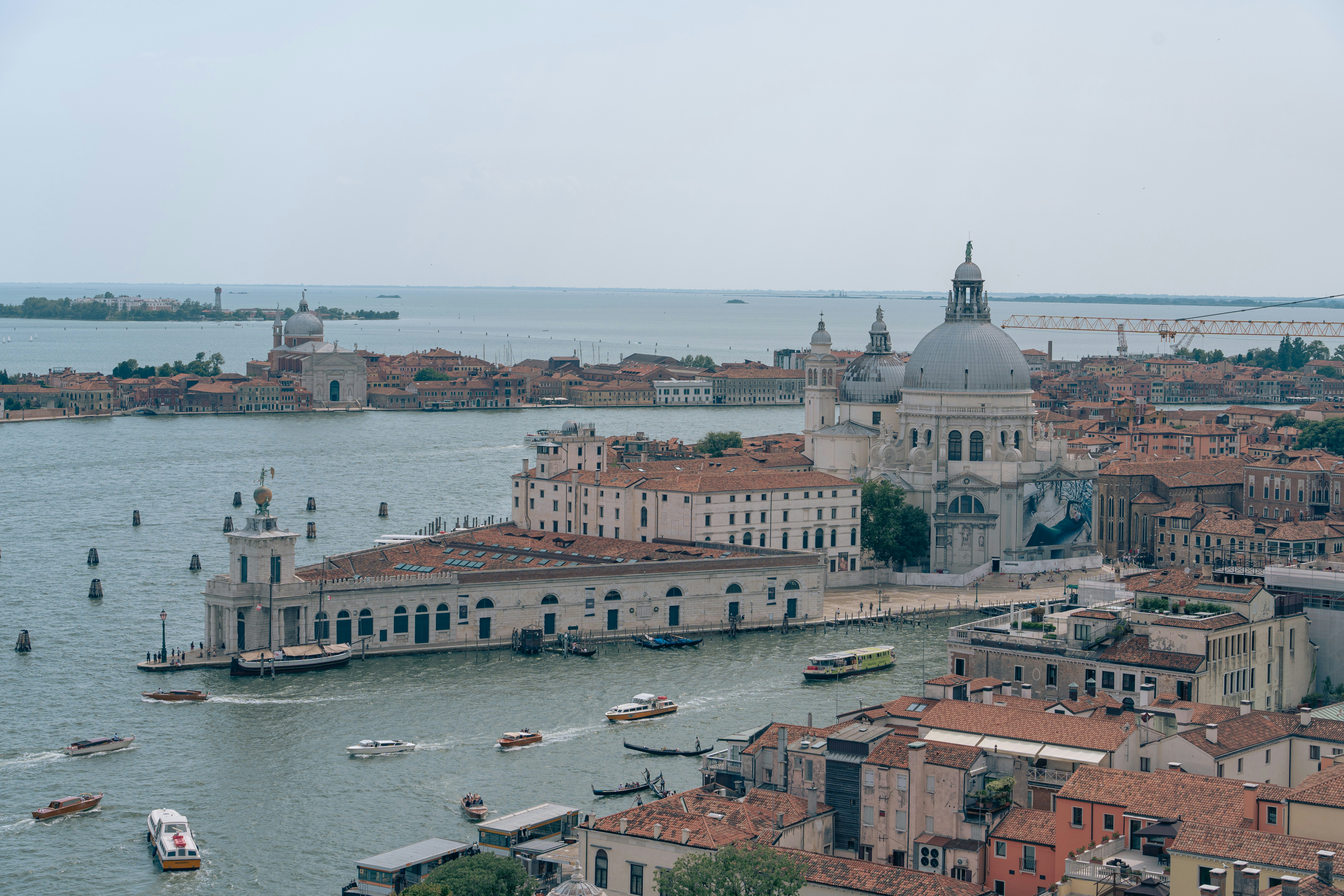 Photo by albert_canite