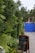 A lush, green garden with a variety of plants and foliage lines the left side of a pathway. To the right, a blackboard menu lists specials such as Turmeric Ginger Noodle Soup and Burrata Salad. Beyond the foliage, there is a bright blue gate in the background, and a wooden chair is placed next to the menu.