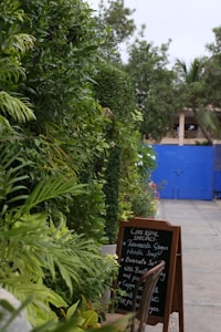 A lush, green garden with a variety of plants and foliage lines the left side of a pathway. To the right, a blackboard menu lists specials such as Turmeric Ginger Noodle Soup and Burrata Salad. Beyond the foliage, there is a bright blue gate in the background, and a wooden chair is placed next to the menu.