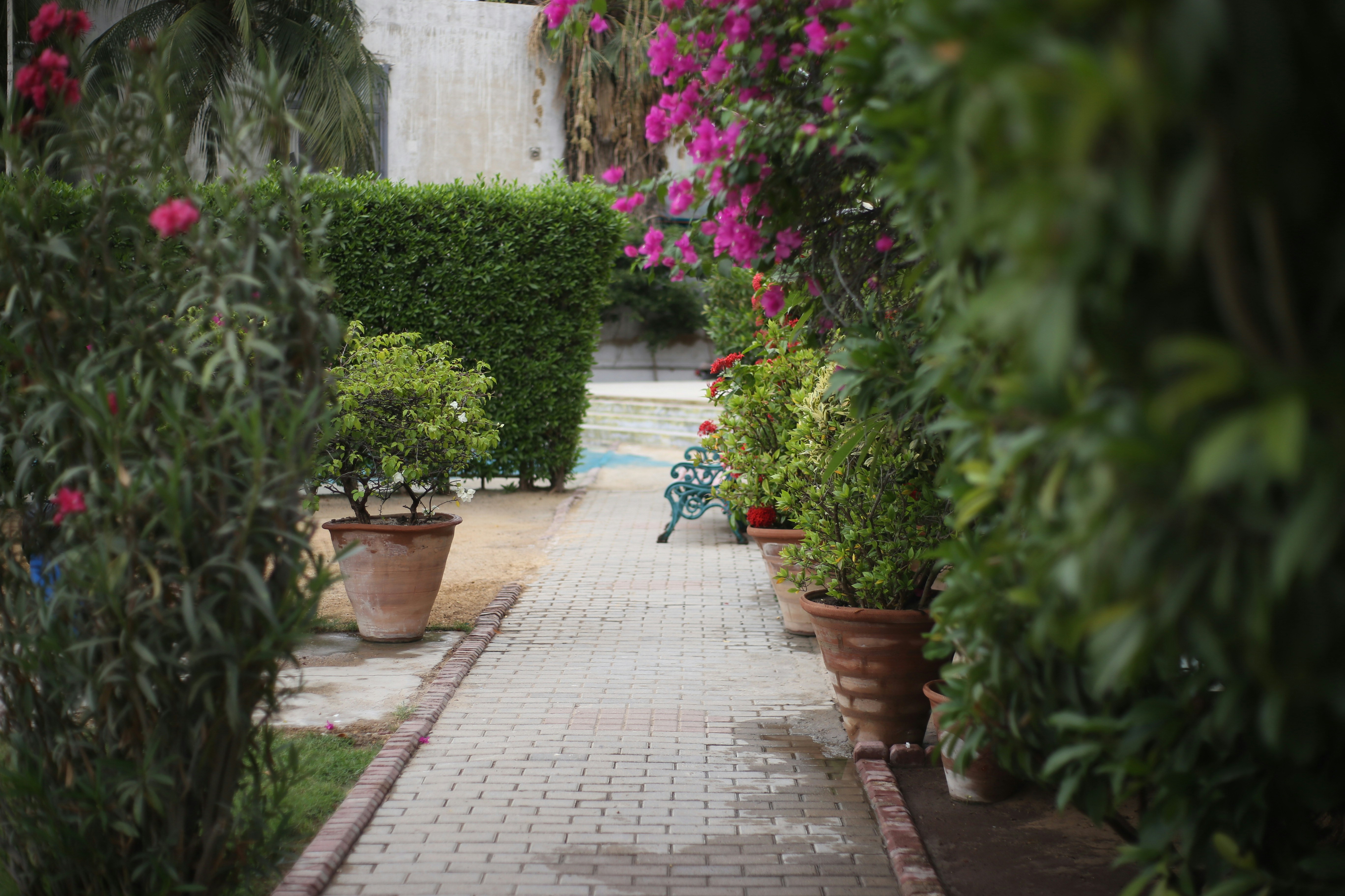 Photo by hammadirfan086