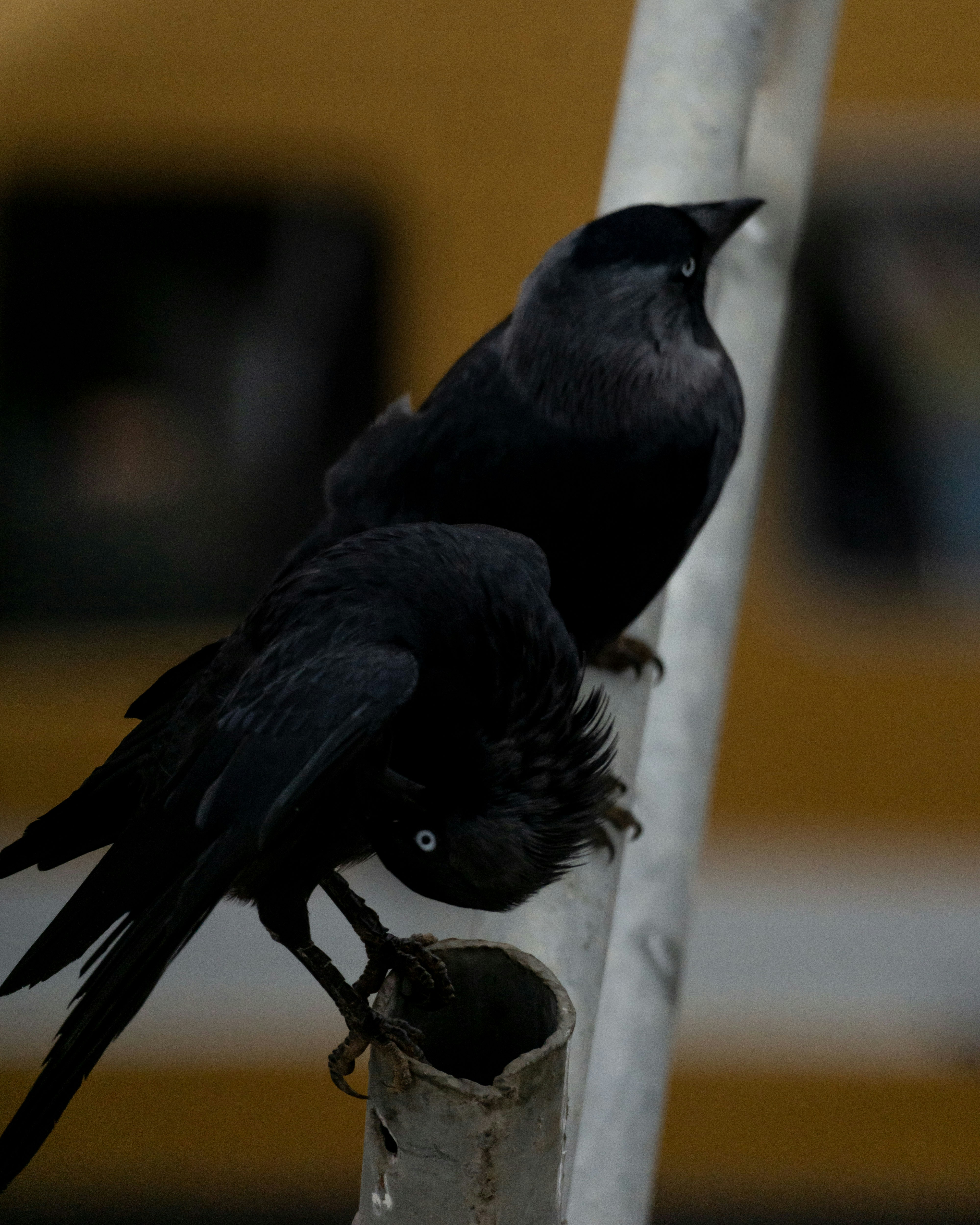 Photo by younousvisuals