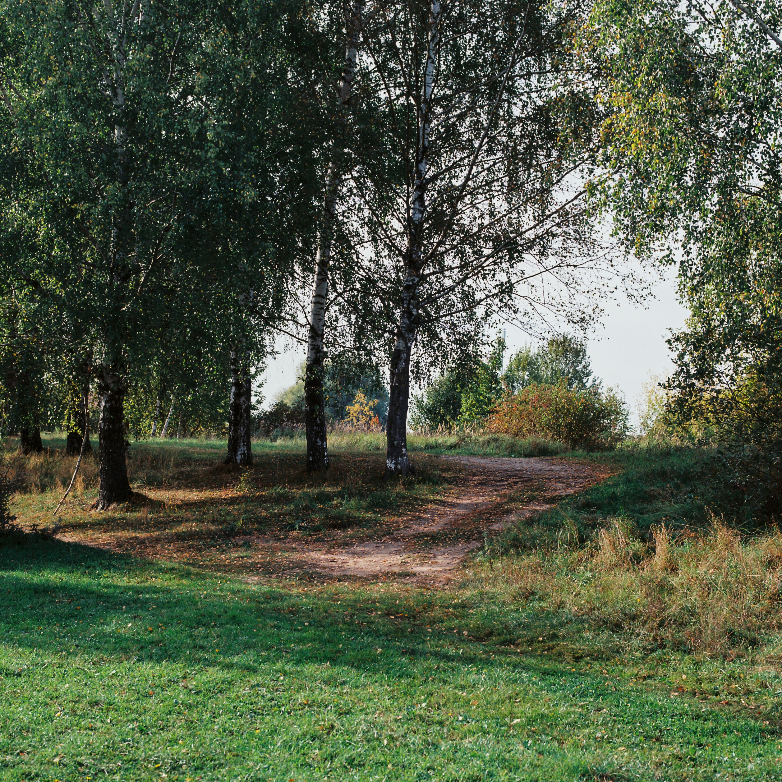 Photo by evil_bumblebee