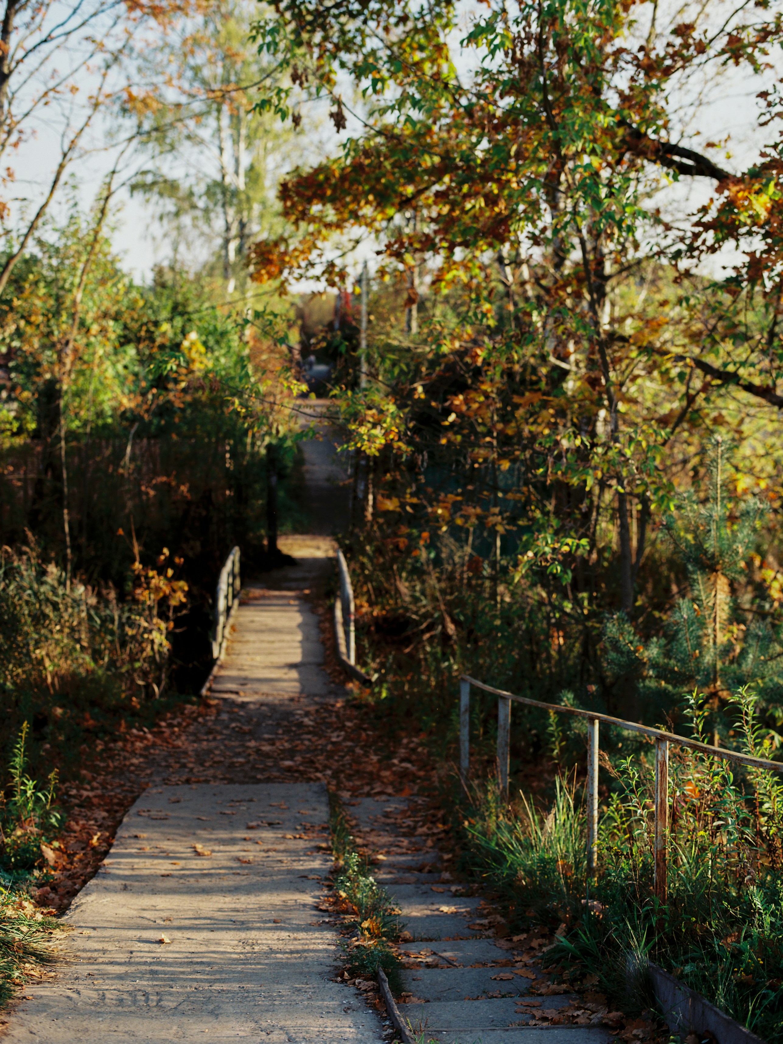 Photo by evil_bumblebee