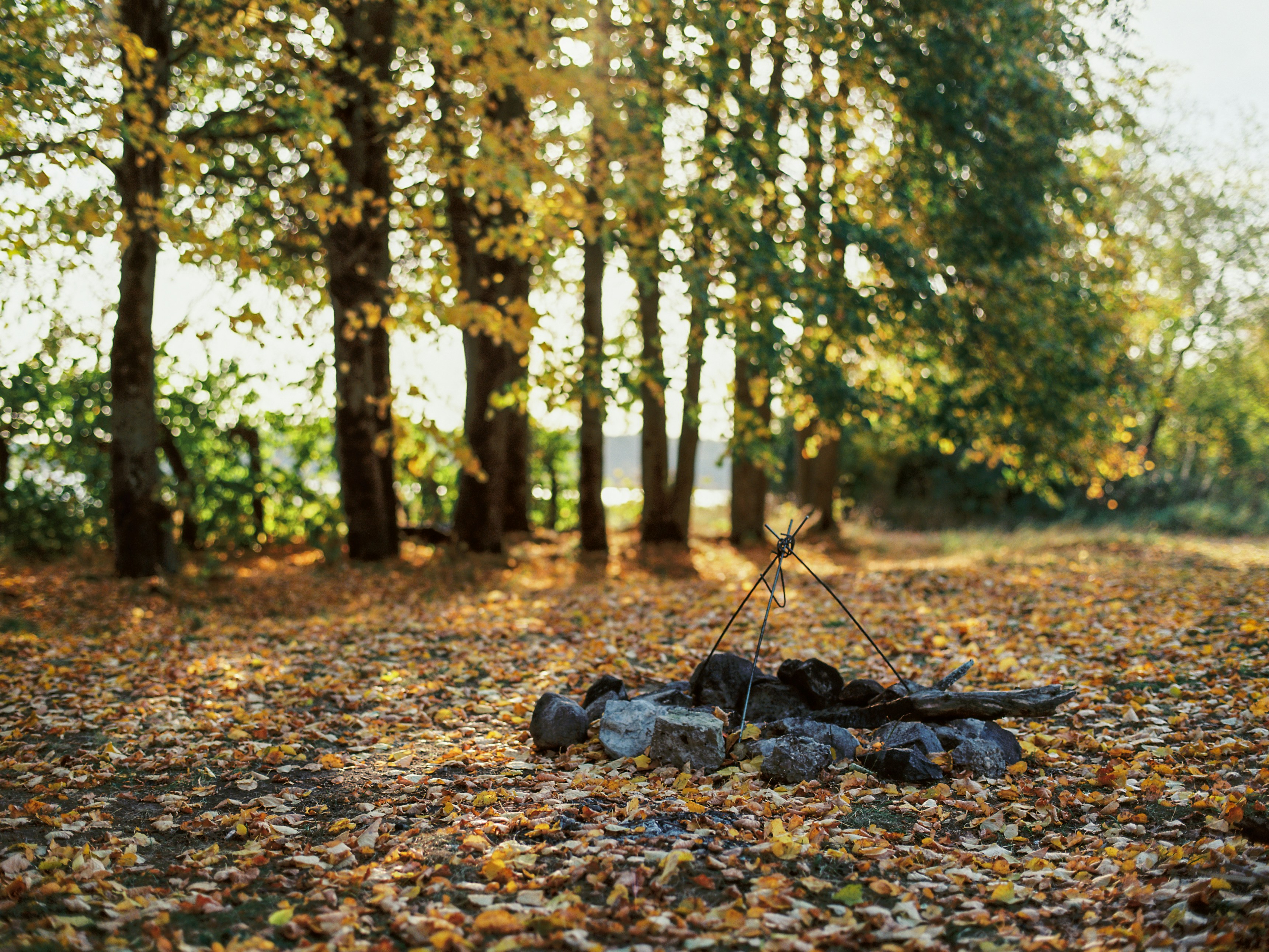 Photo by evil_bumblebee