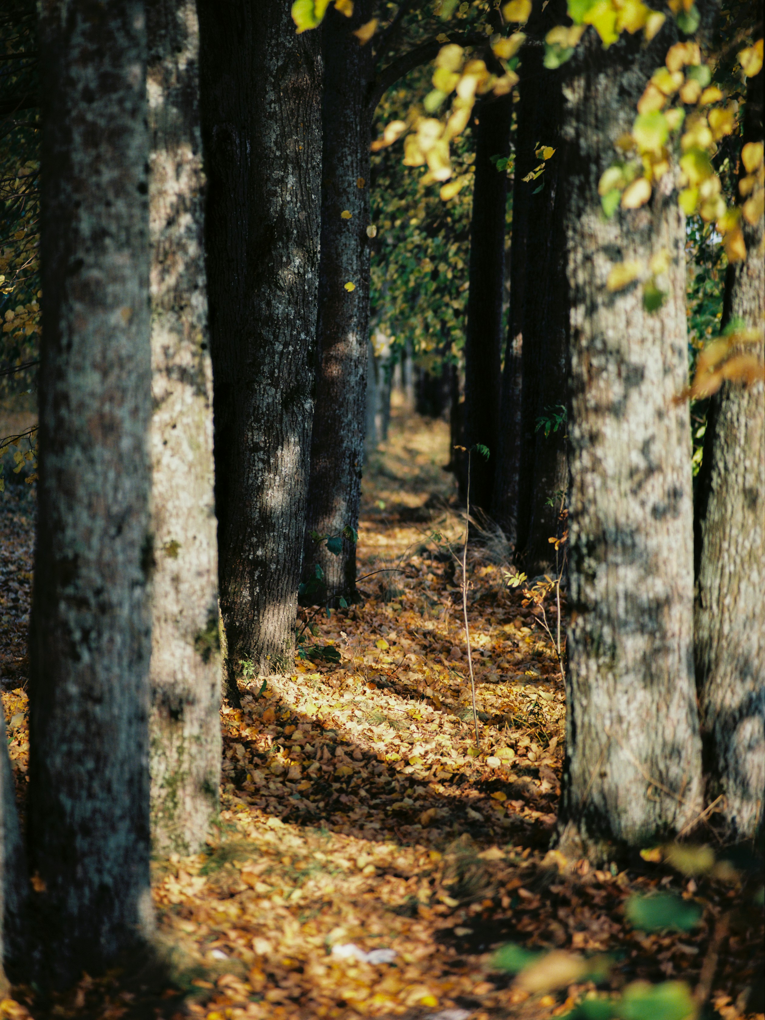 Photo by evil_bumblebee