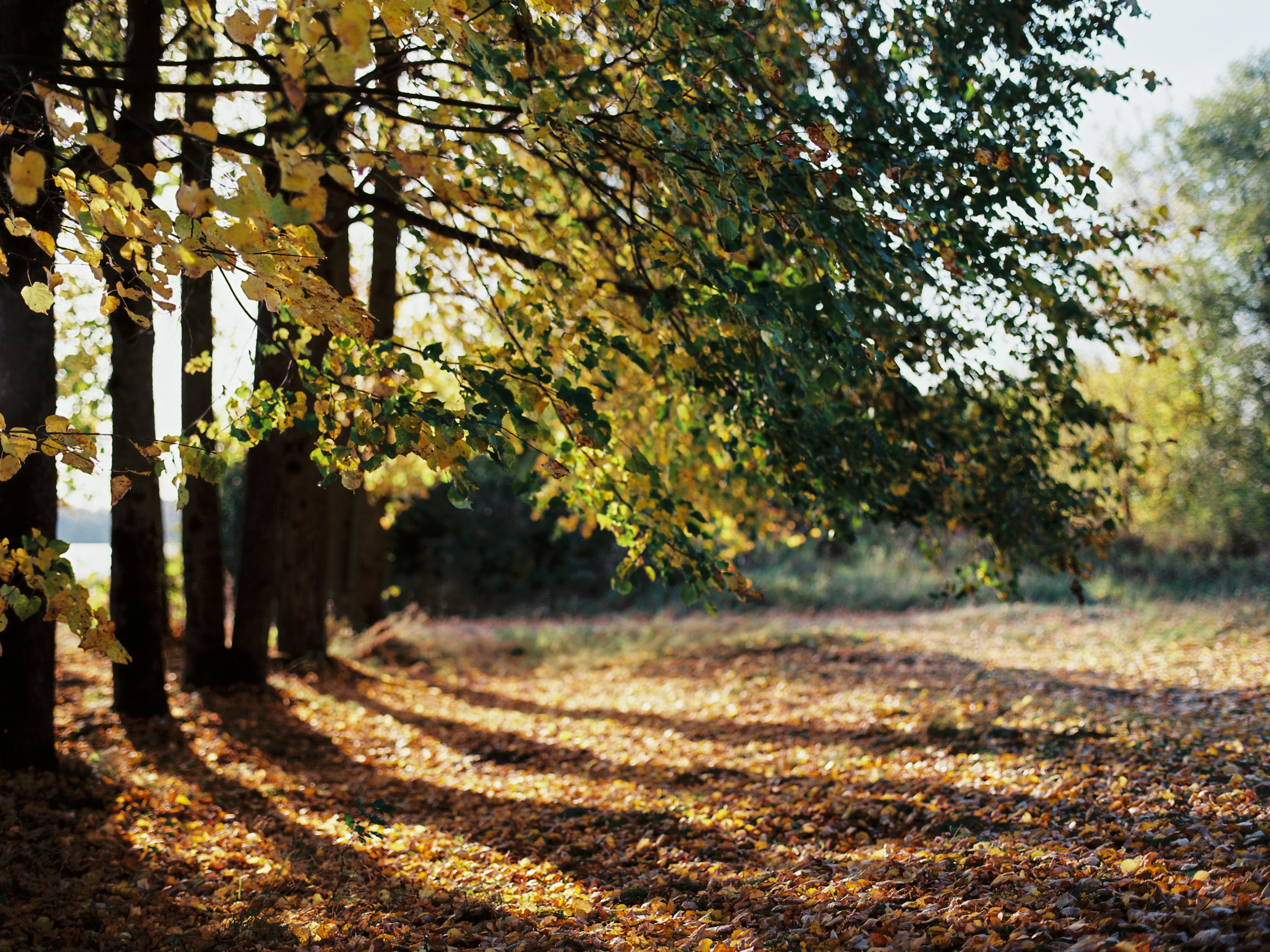 Photo by evil_bumblebee