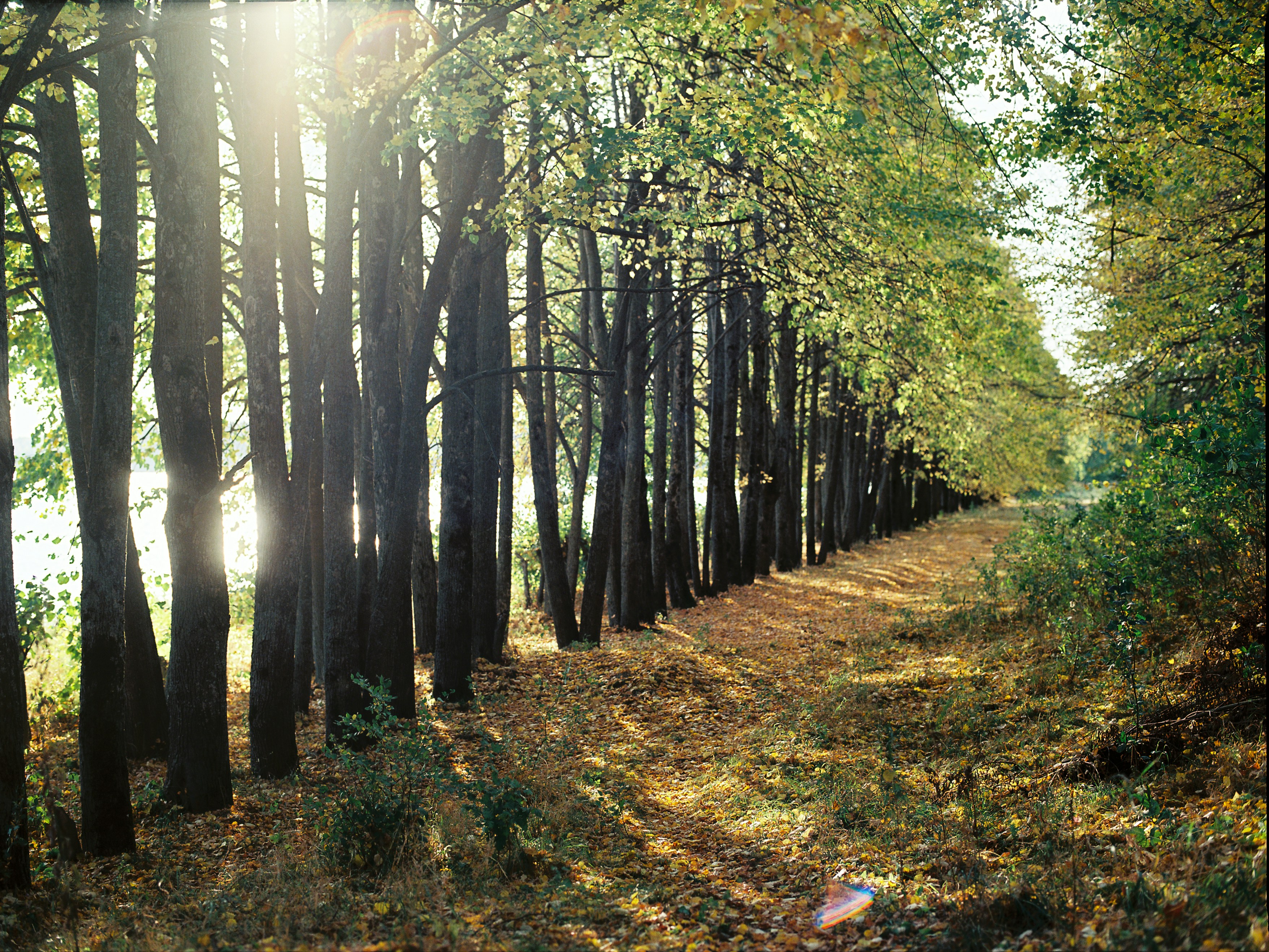 Photo by evil_bumblebee