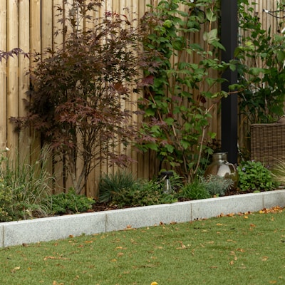A garden scene featuring a wooden fence in the background, surrounded by various green plants and a tree with reddish-brown leaves. There is a small patch of lawn in the foreground, edged by a light gray stone border. On the right side, a wicker basket and a reflective, metallic garden ornament are visible.