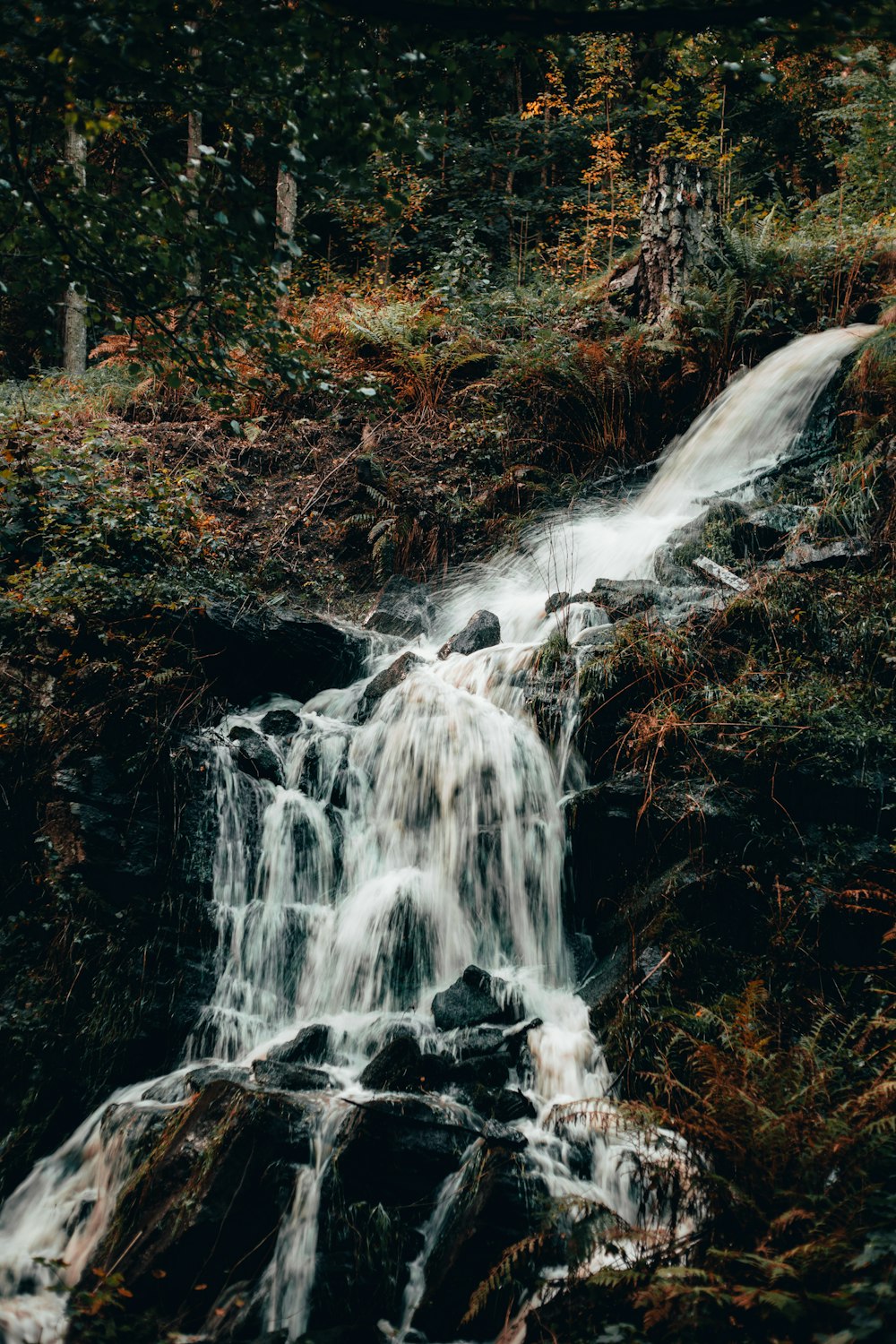 a small waterfall in the middle of a forest