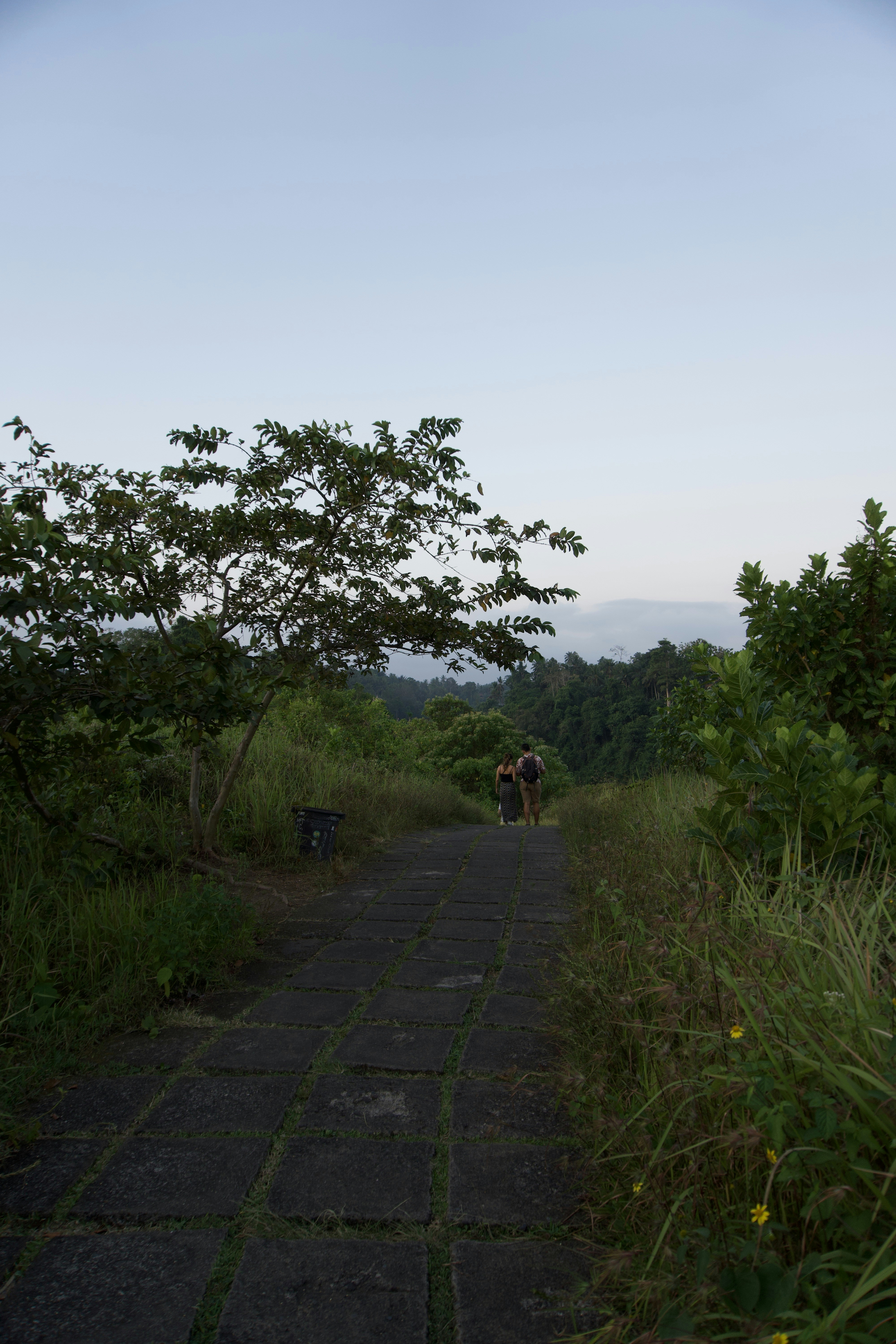 Picture 1 : 7 Days in Bali - Exploring Ubud and Tanah Lot: A Journey from Sunrise to Sunset