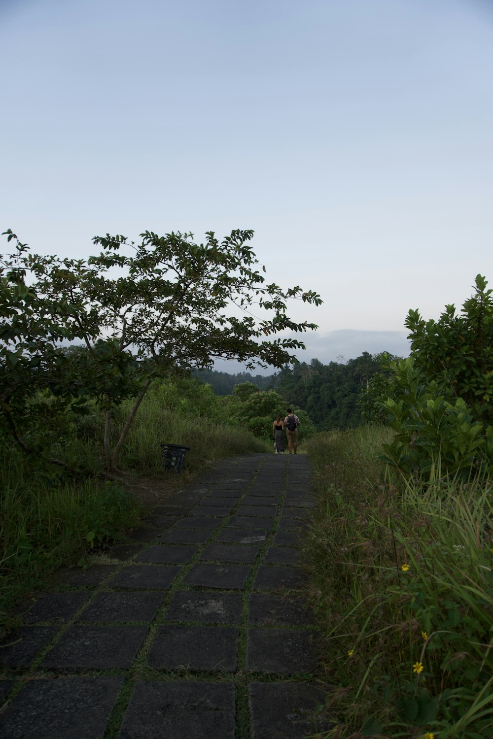 a couple of people walking down a dirt road