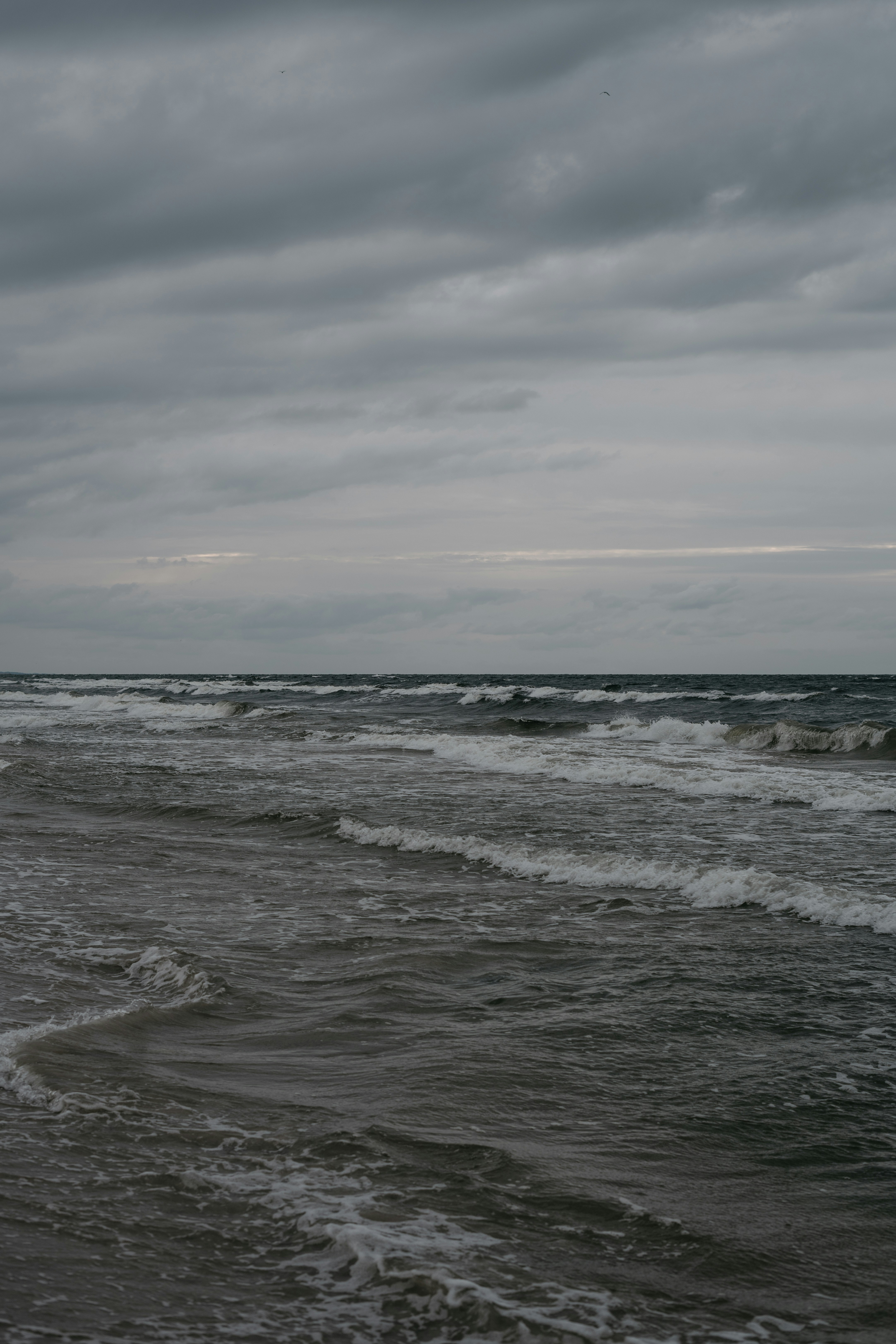 Photo by p_kuzovkova